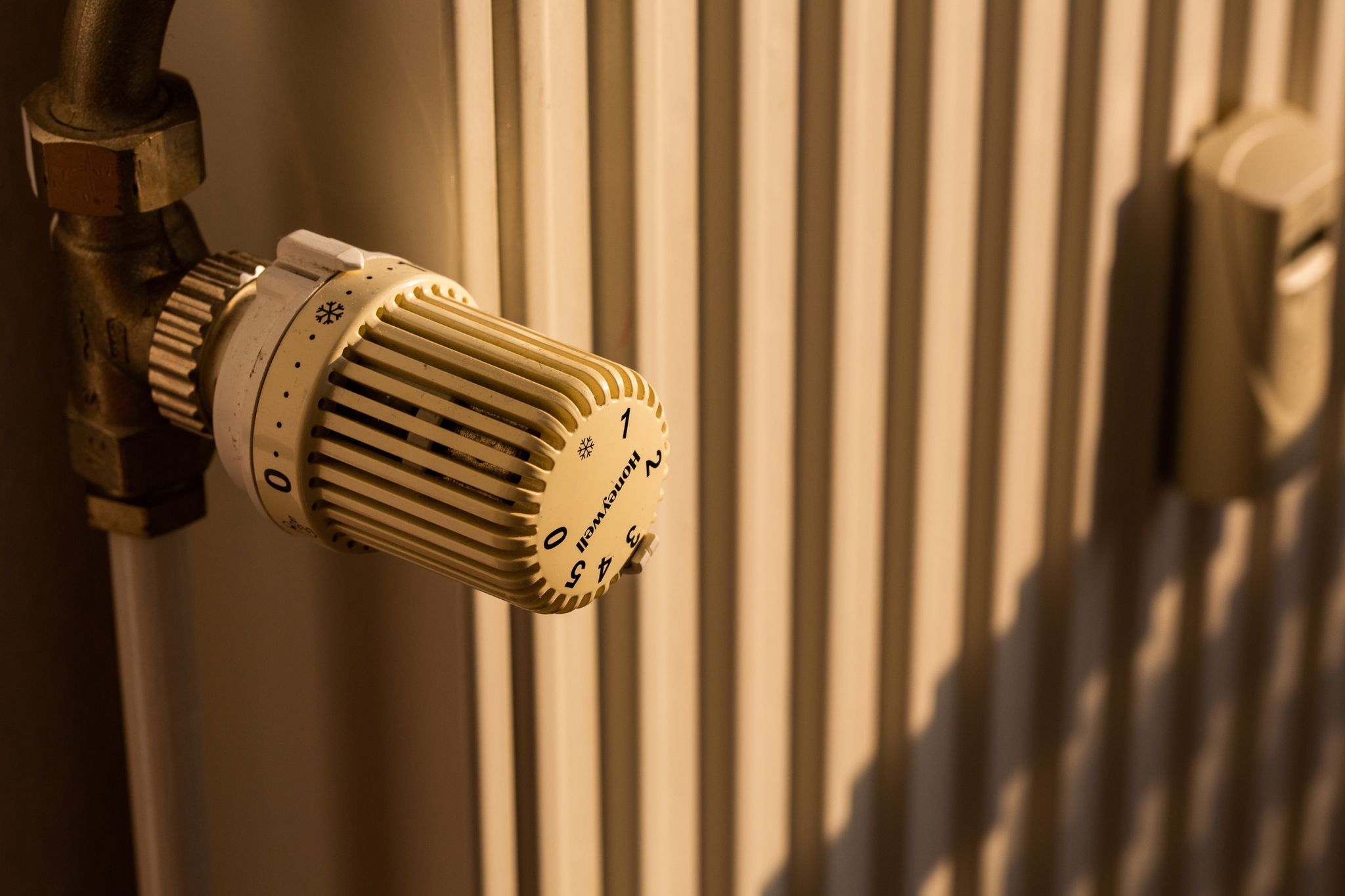 CO2-Kosten für Mieter: FDP bremst bei Gesetz zur Aufteilung