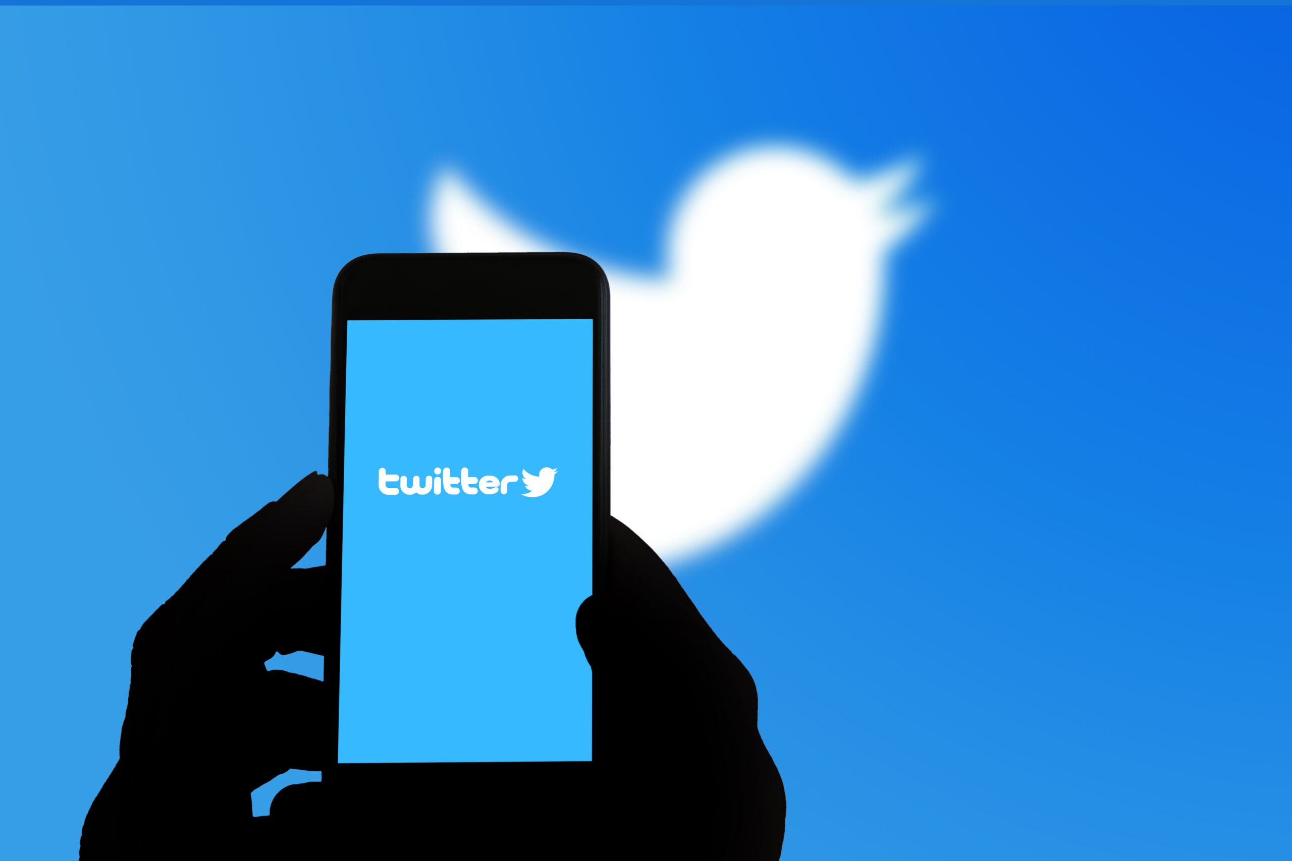 Twitter bald nicht mehr kostenlos? Elon Musk will 20 Euro von Nutzern!