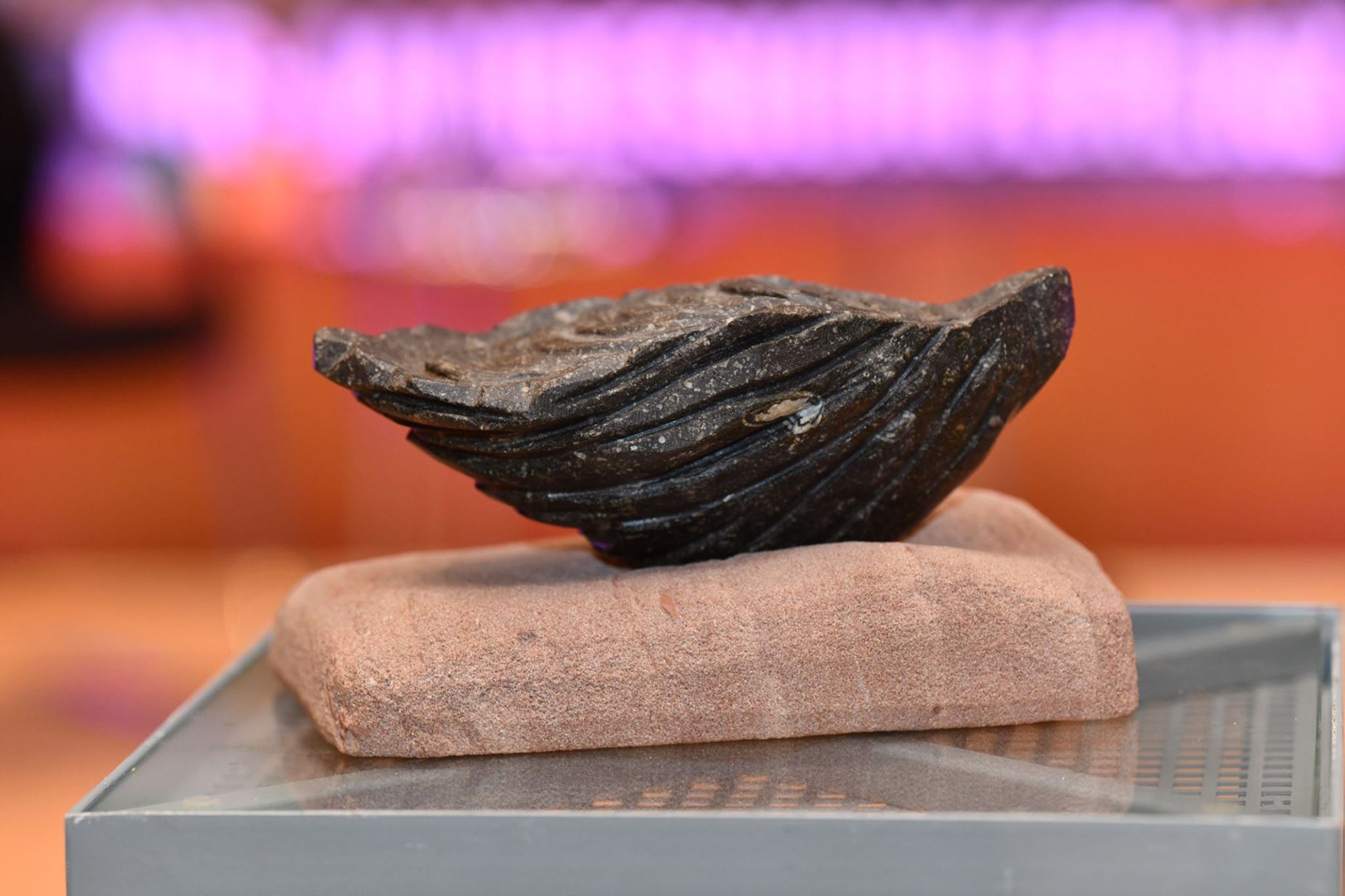 Tesla bekommt «Verschlossene Auster» für Umgang mit Medien