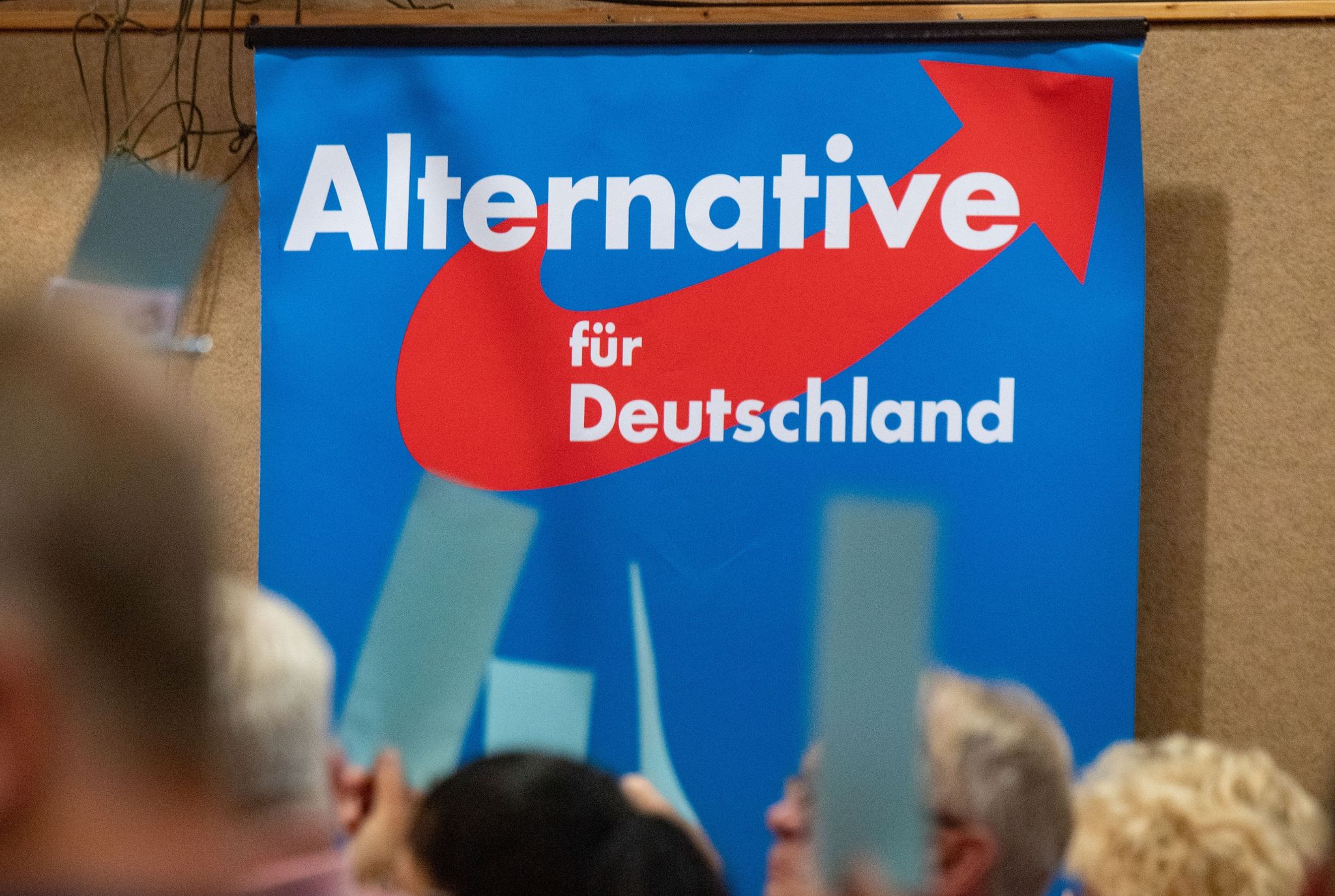 Umfrage sieht AfD in Brandenburg vor der SPD