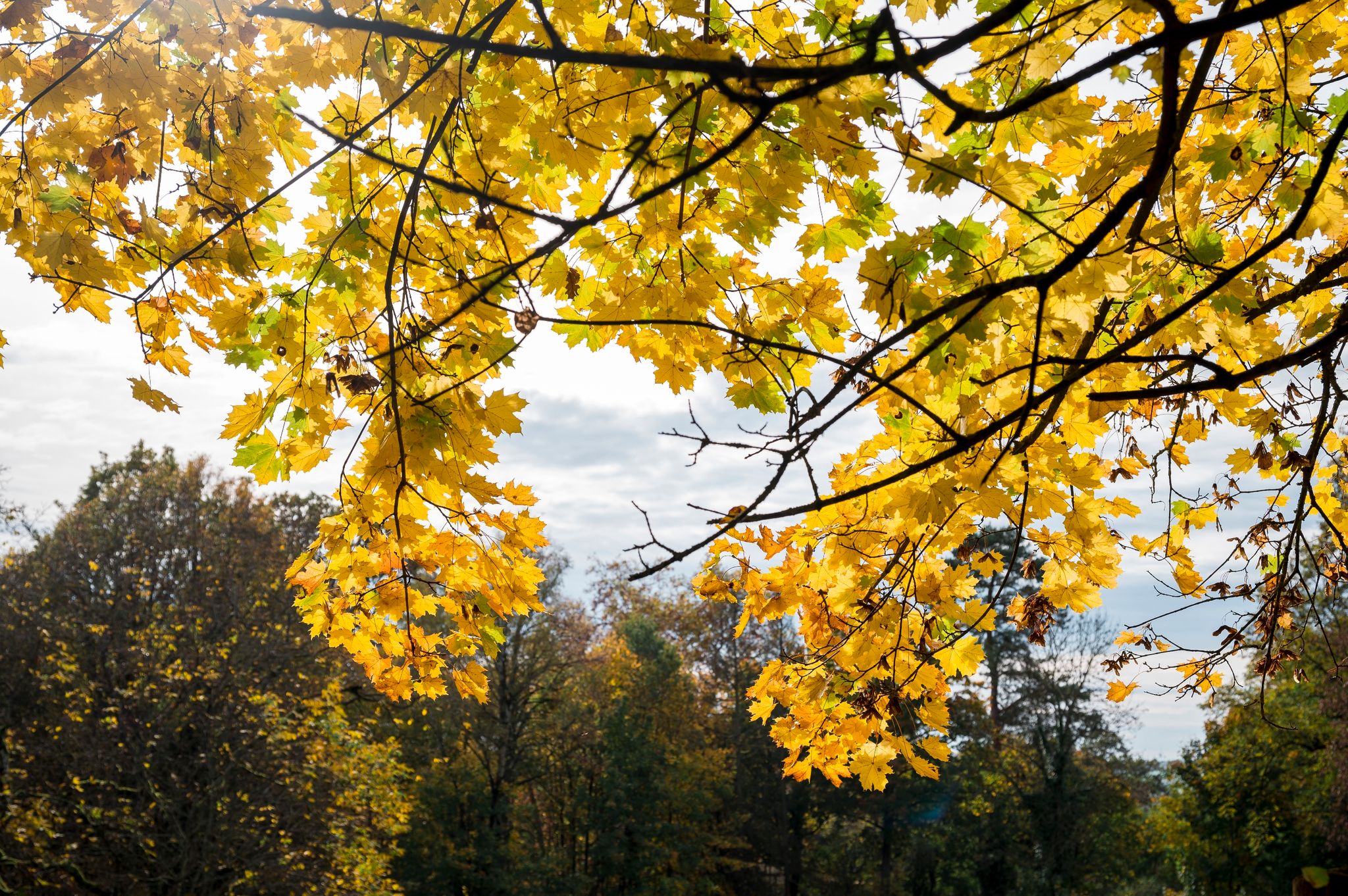 Traumwetter mit spätsommerlicher Wärme