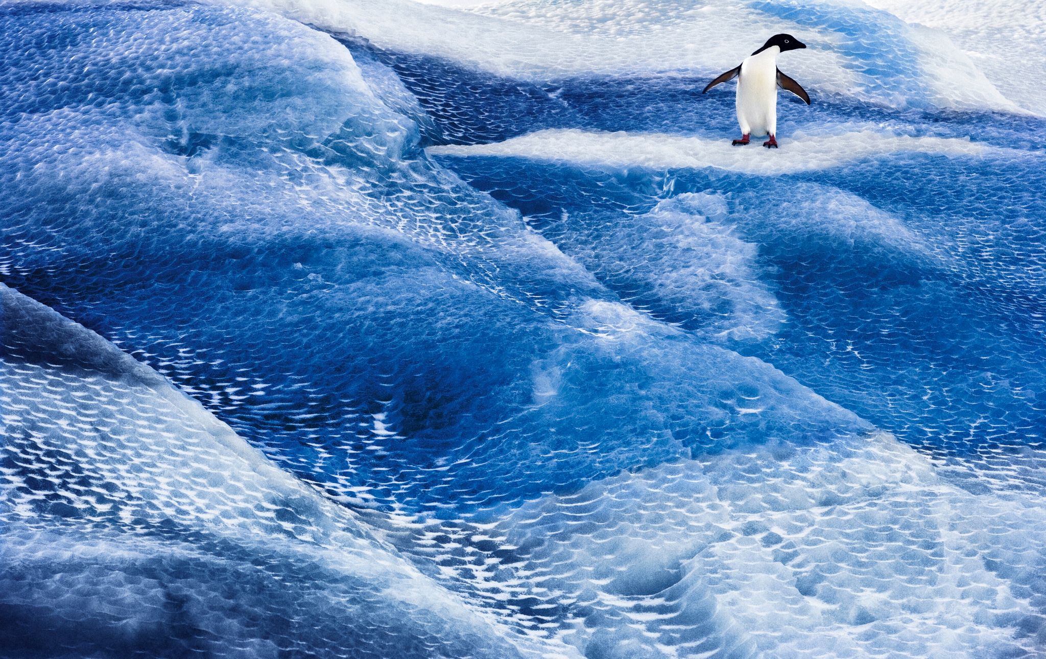 Unermessliche Antarktis: Eisiger Kontinent in Gefahr