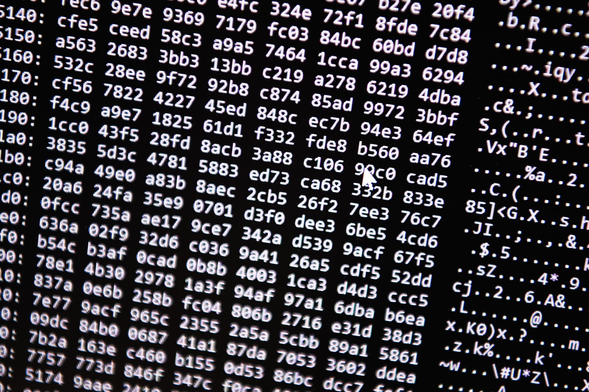 Betreiber von großer Darknet-Drogenplattform festgenommen