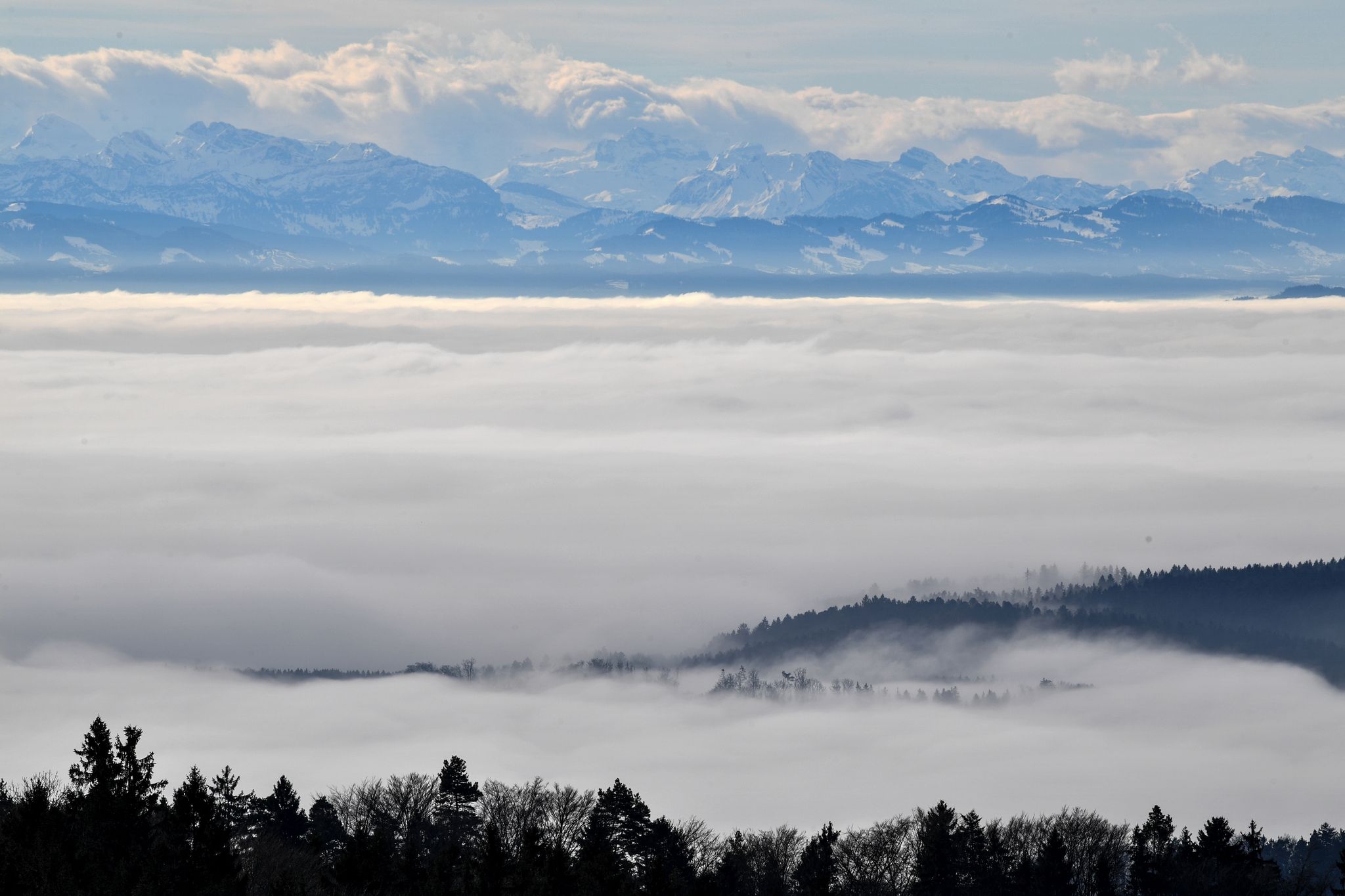 Bodensee: Nebelstunden nehmen wegen Klimawandel ab
