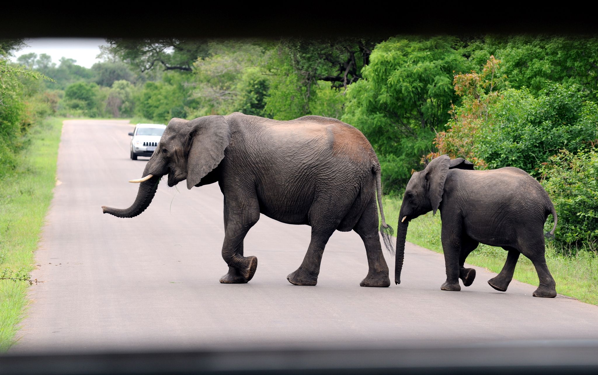 Deutscher Tourist bei Überfall in Südafrika getötet