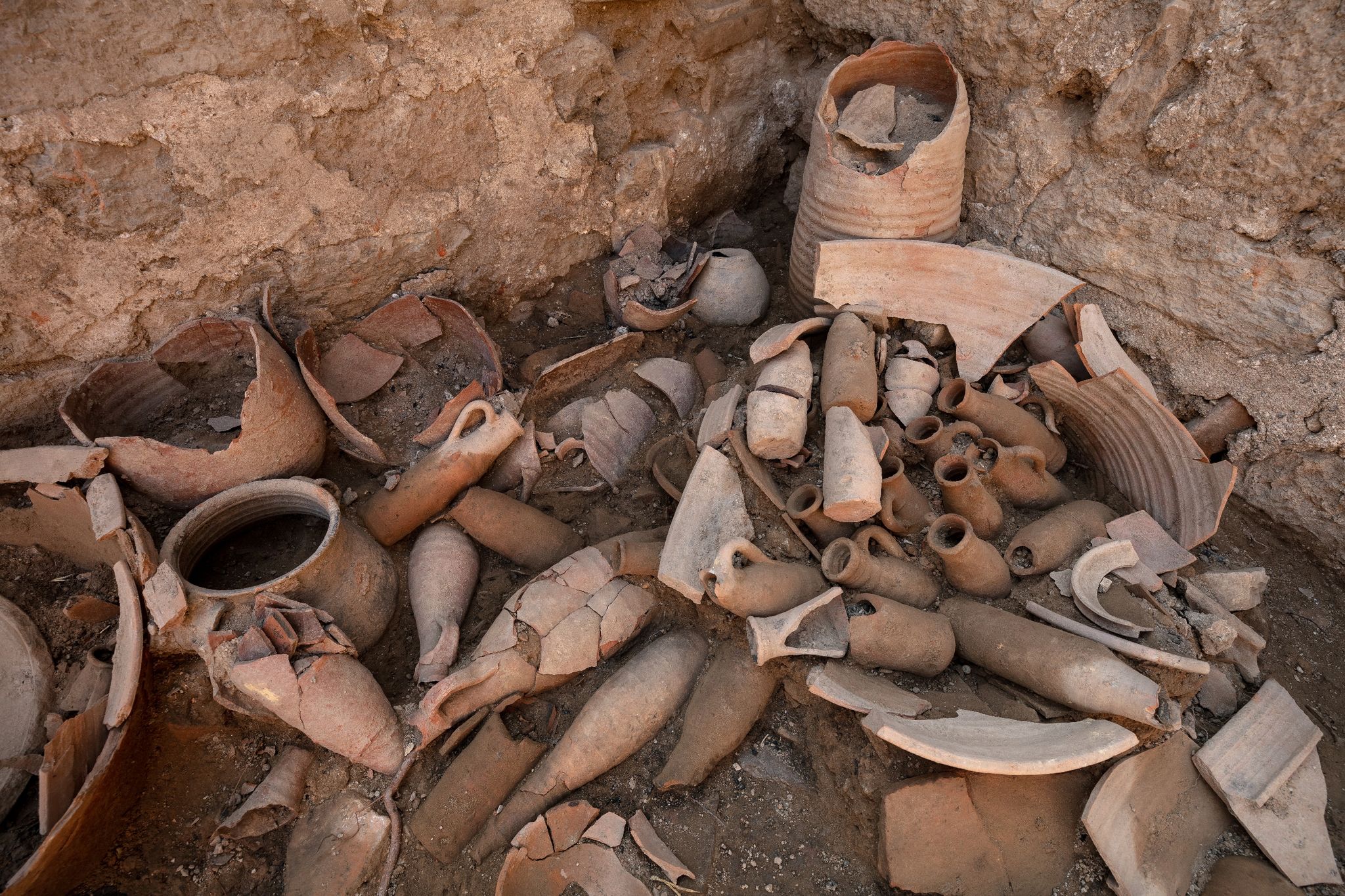 Münzen, Muscheln, Mandelkerne – Neue Funde in Ephesos