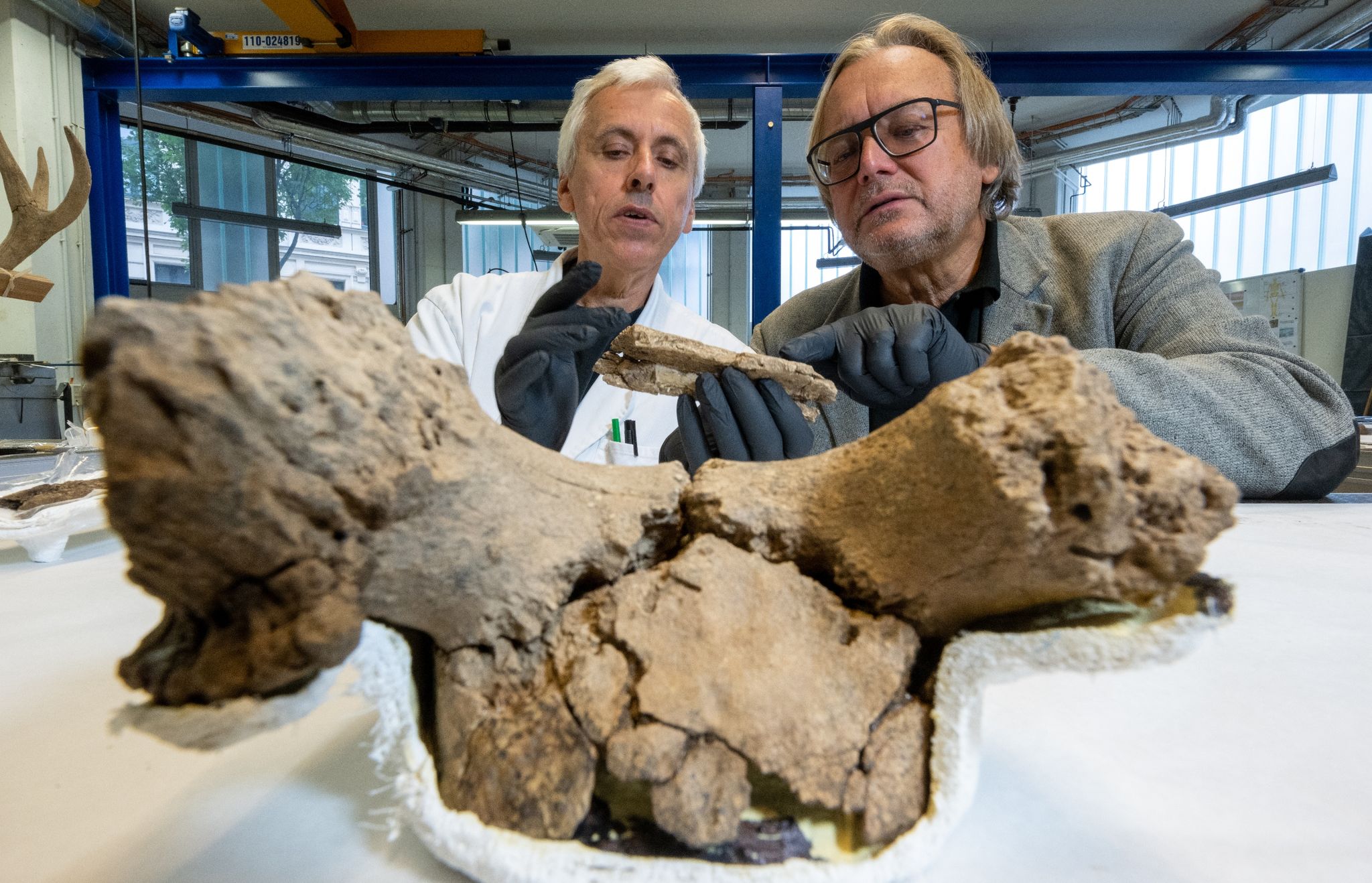 Schamanin: Neue Erkenntnisse zu 9000 Jahre altem Grab