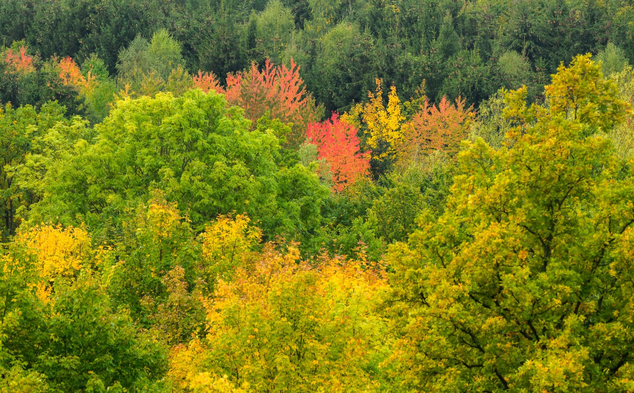 Mildes Herbstwetter – bis zu 24 Grad im Süden