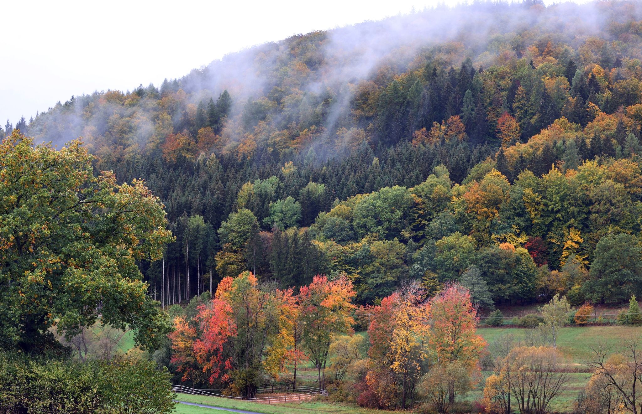 Zum Wochenstart viel Sonne