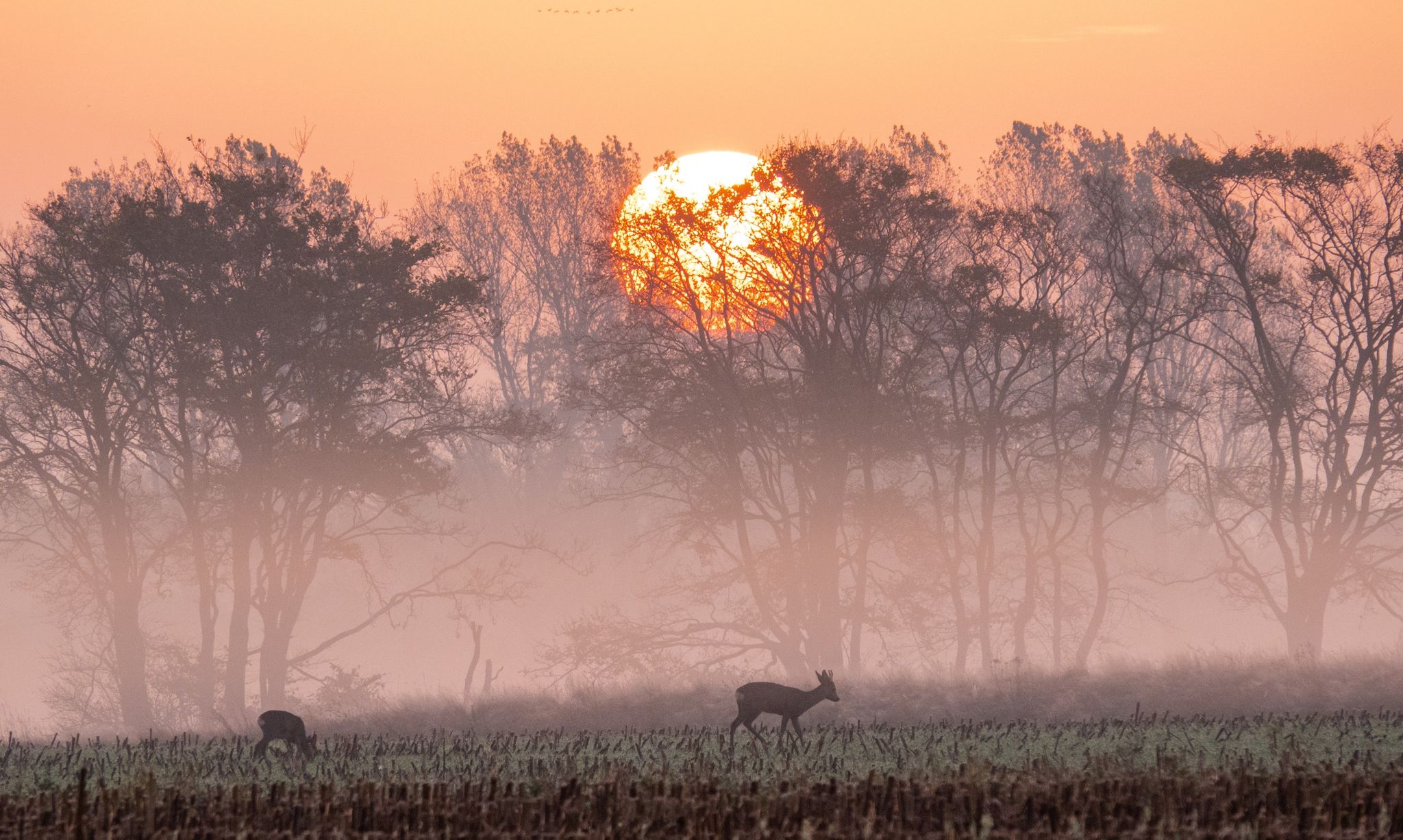 Winterzeit beginnt mit ungewöhnlich milden Temperaturen