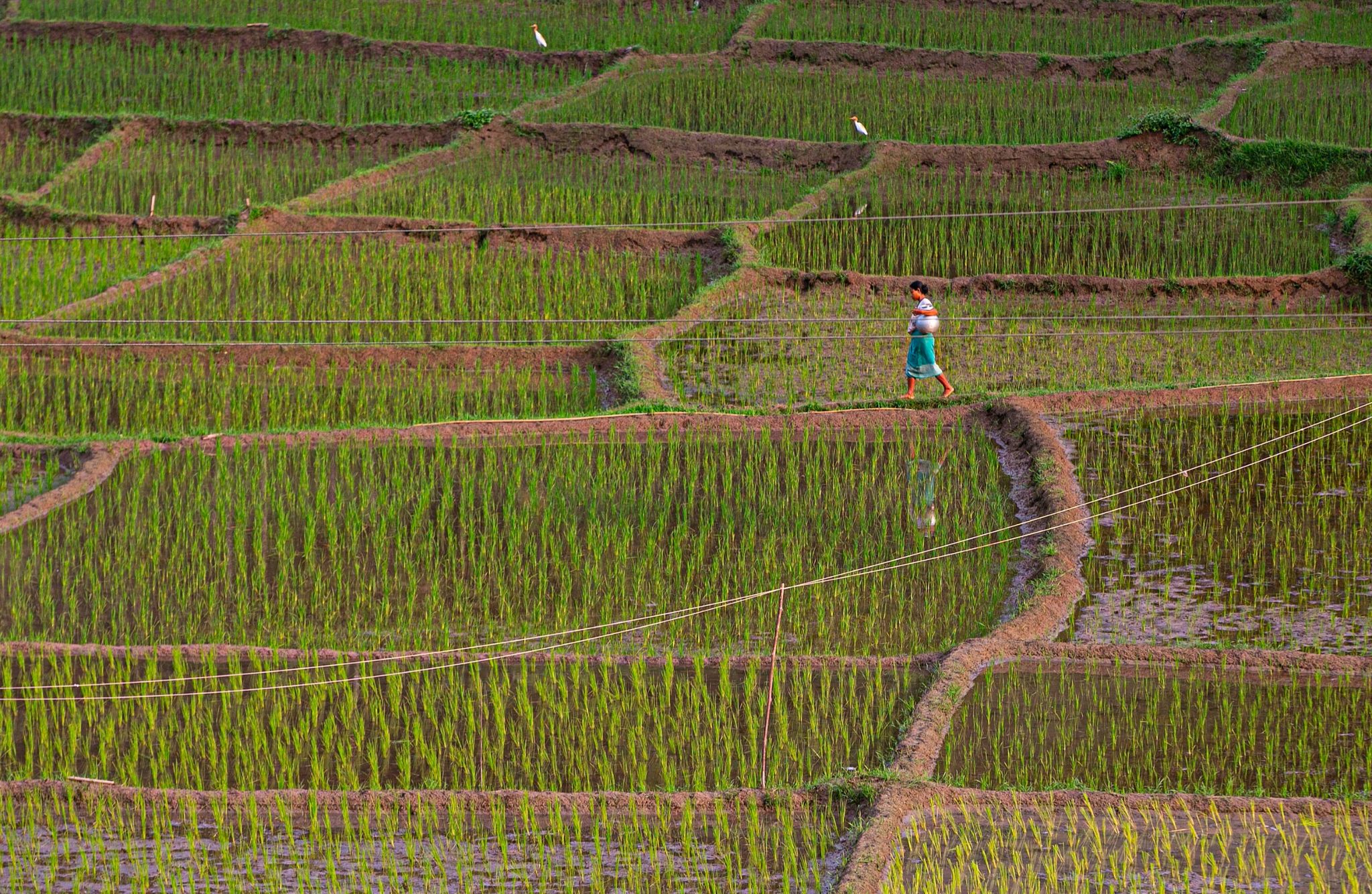 Rekordanstieg des Treibhausgases Methan in der Atmosphäre