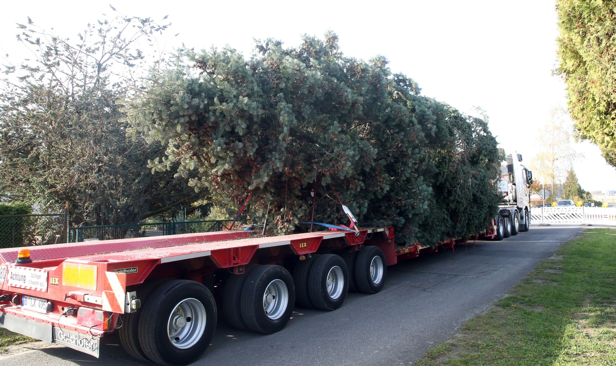 Weihnachtsbaum an Gedächtniskirche aufgestellt