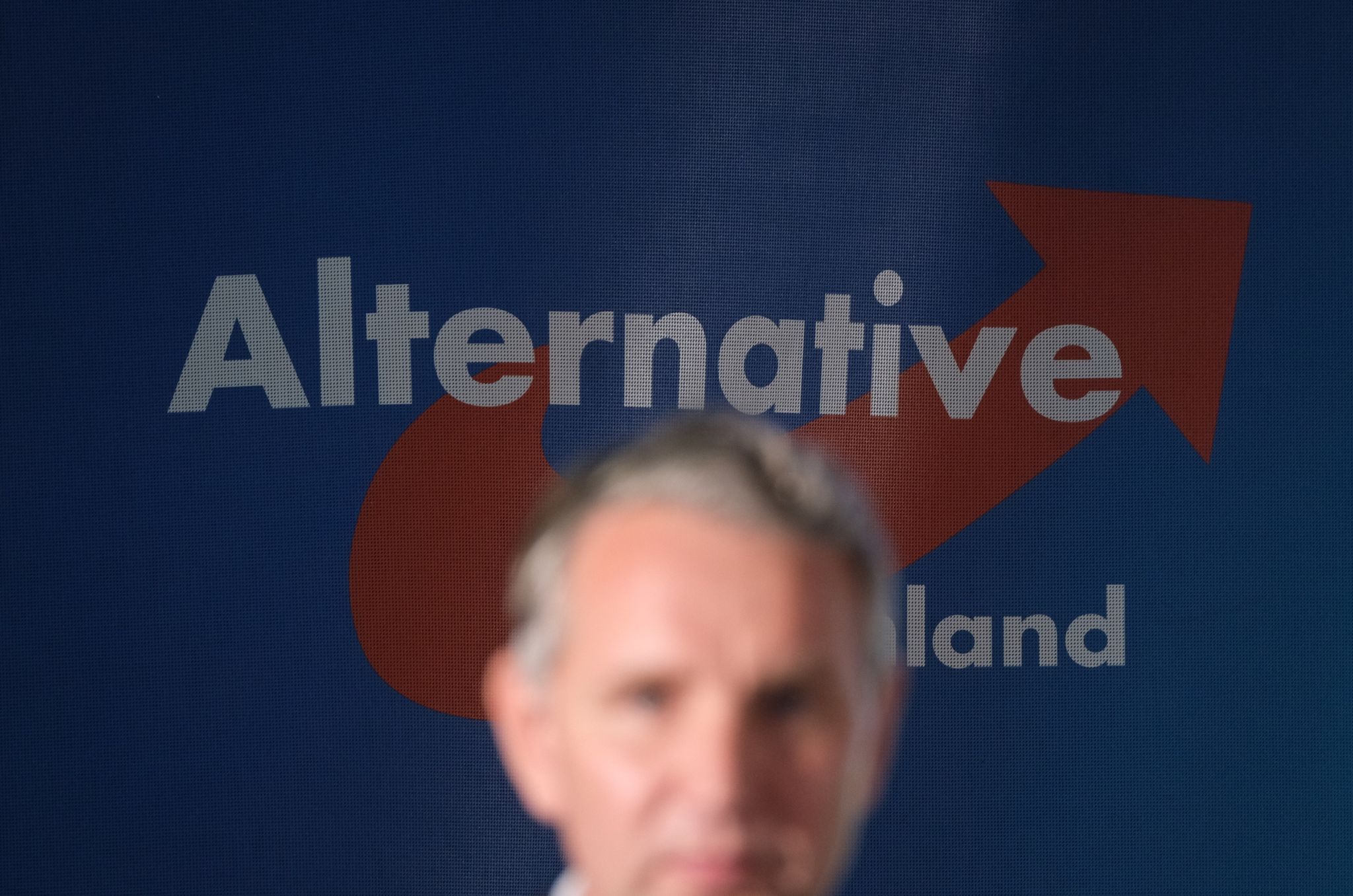 Höcke bleibt Thüringer AfD-Chef
