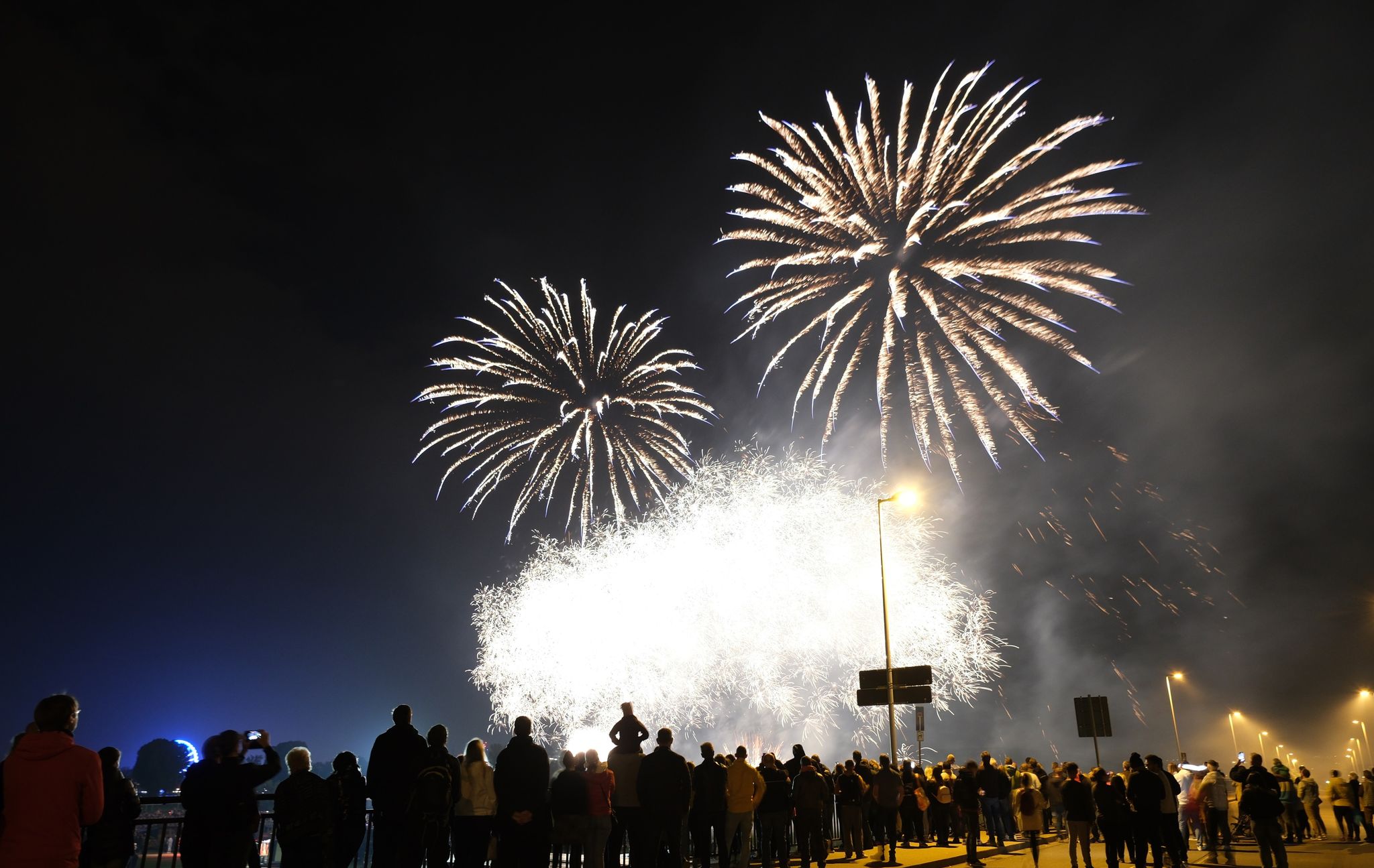 Böllerverbot zu Silvester gefordert!