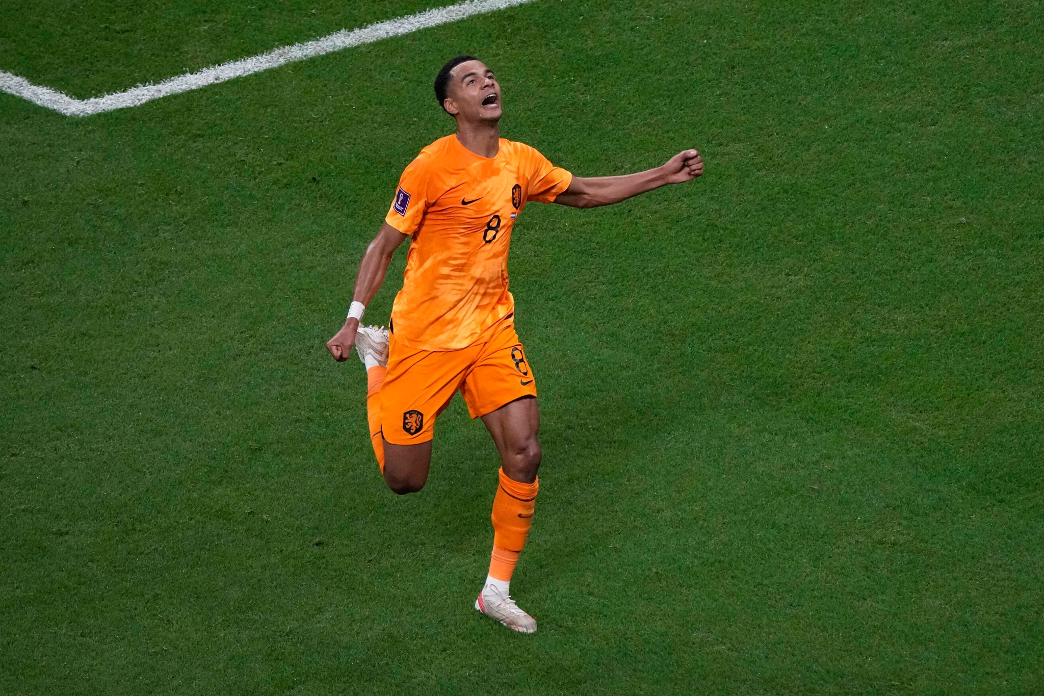 Zum Glück gezwungen: Gakpo entzückt Oranje