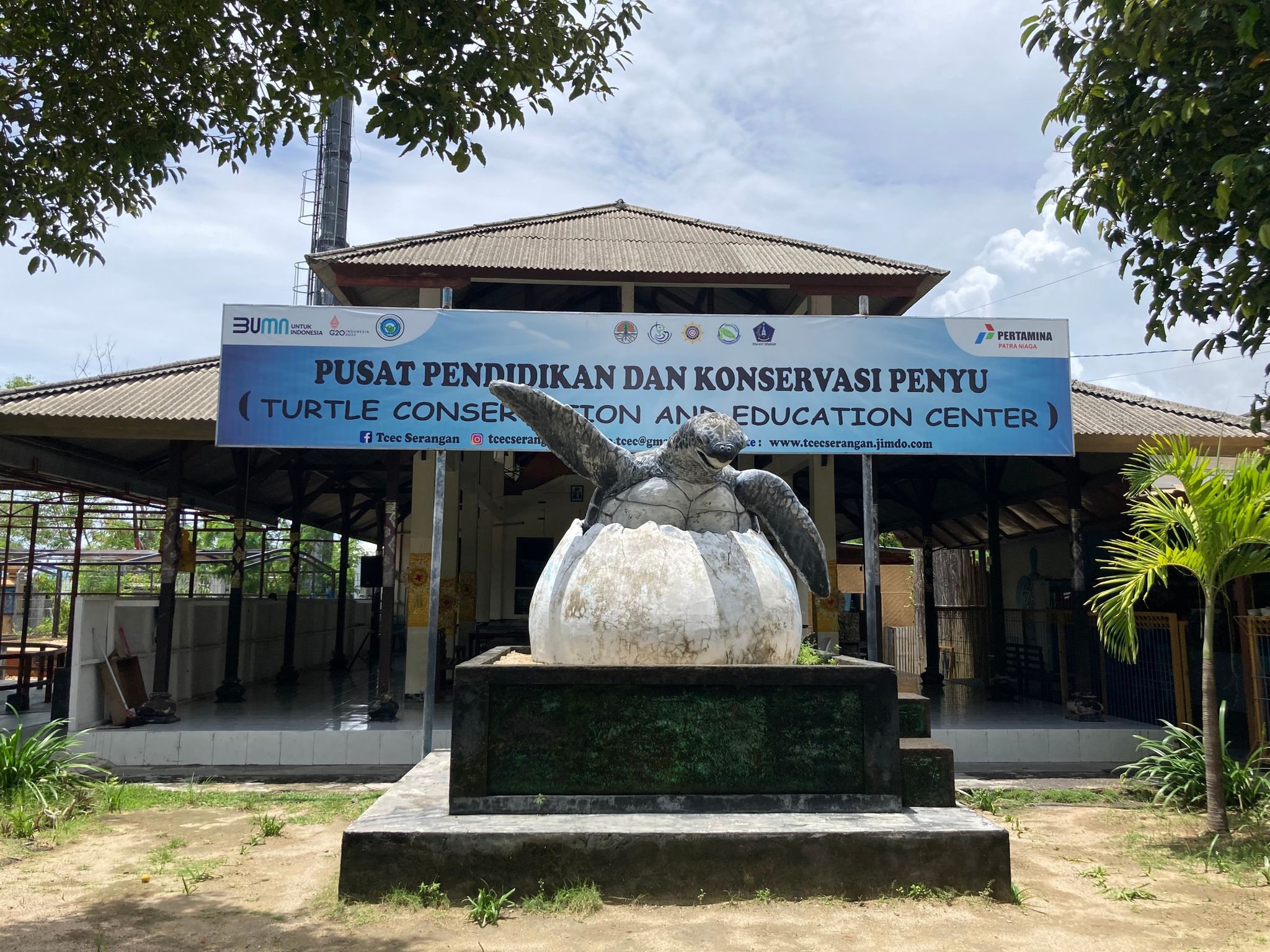 Rituale und Fischernetz: Bali rettet Meeresschildkröten