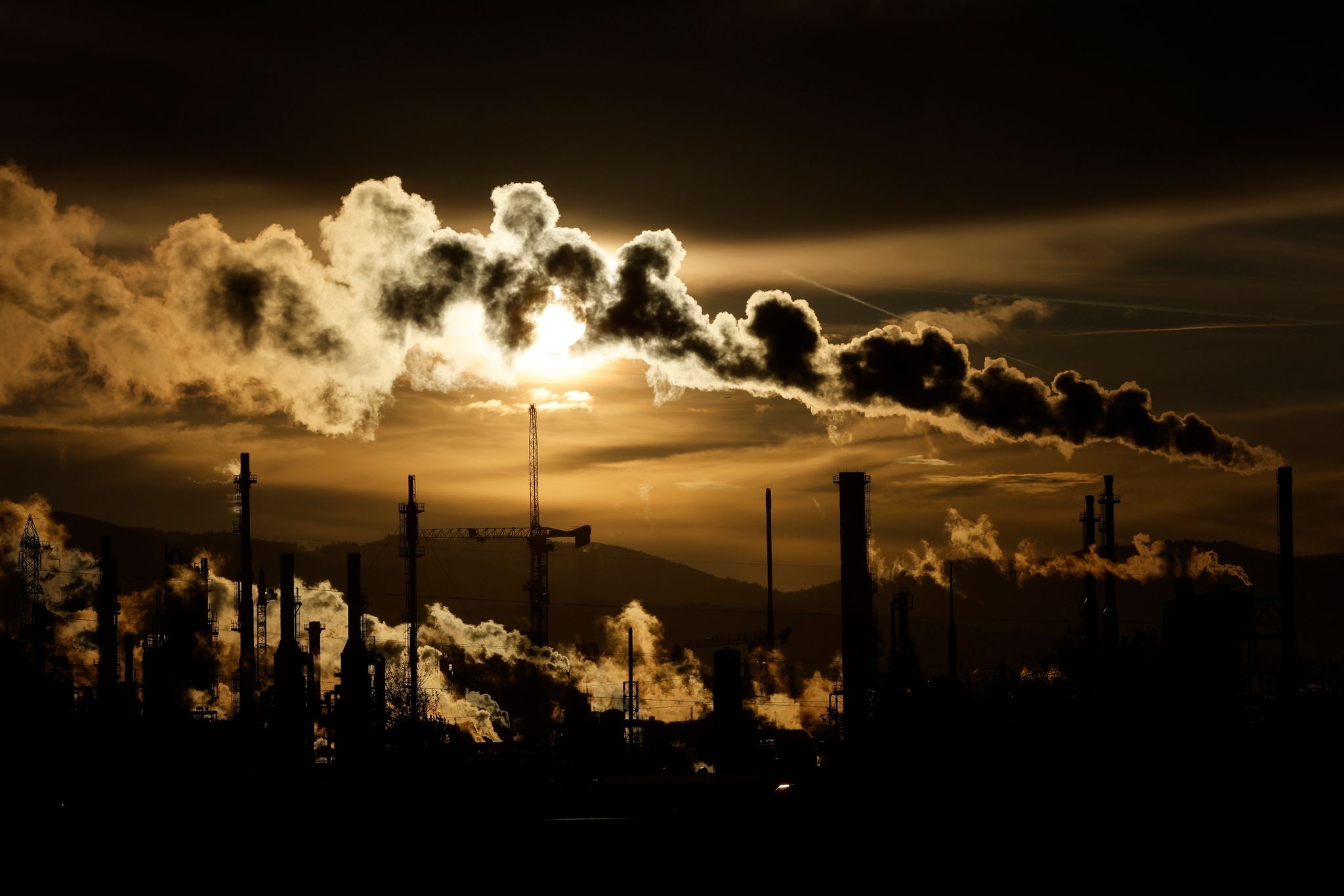 Vier von fünf Menschen in Deutschland sparen Treibhausgase