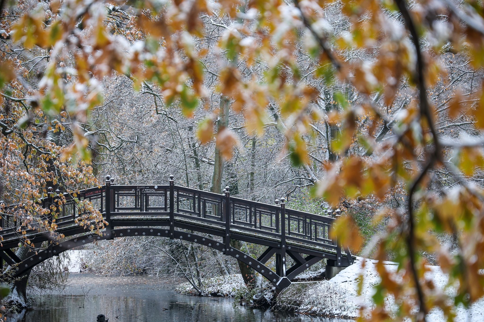 Wetter zum Advent: Frost und Schnee