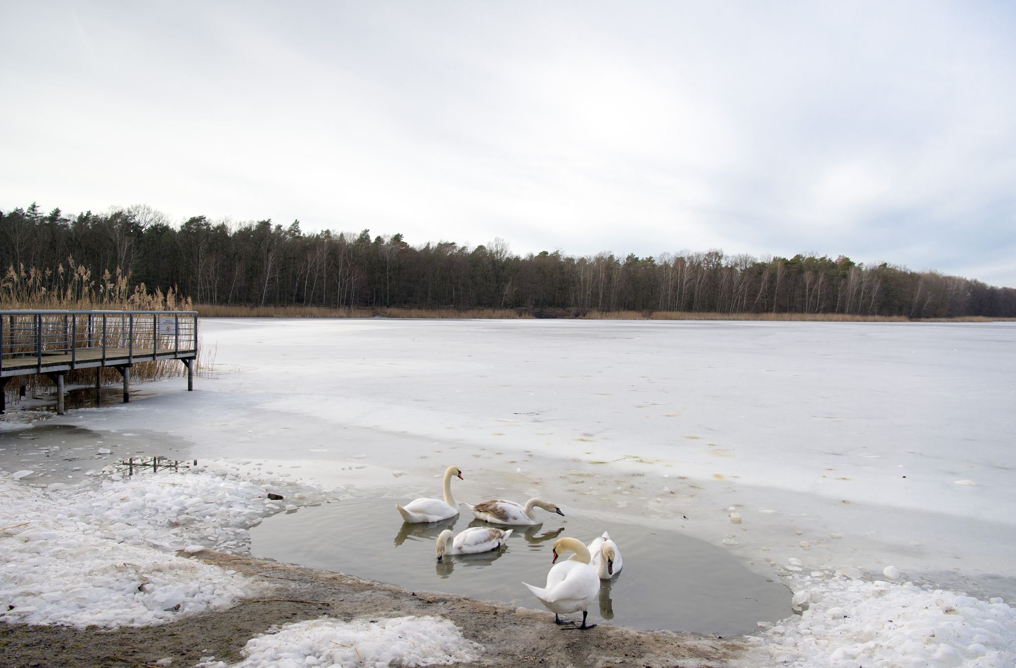 Deutscher Wetterdienst erwartet eher milden Winter