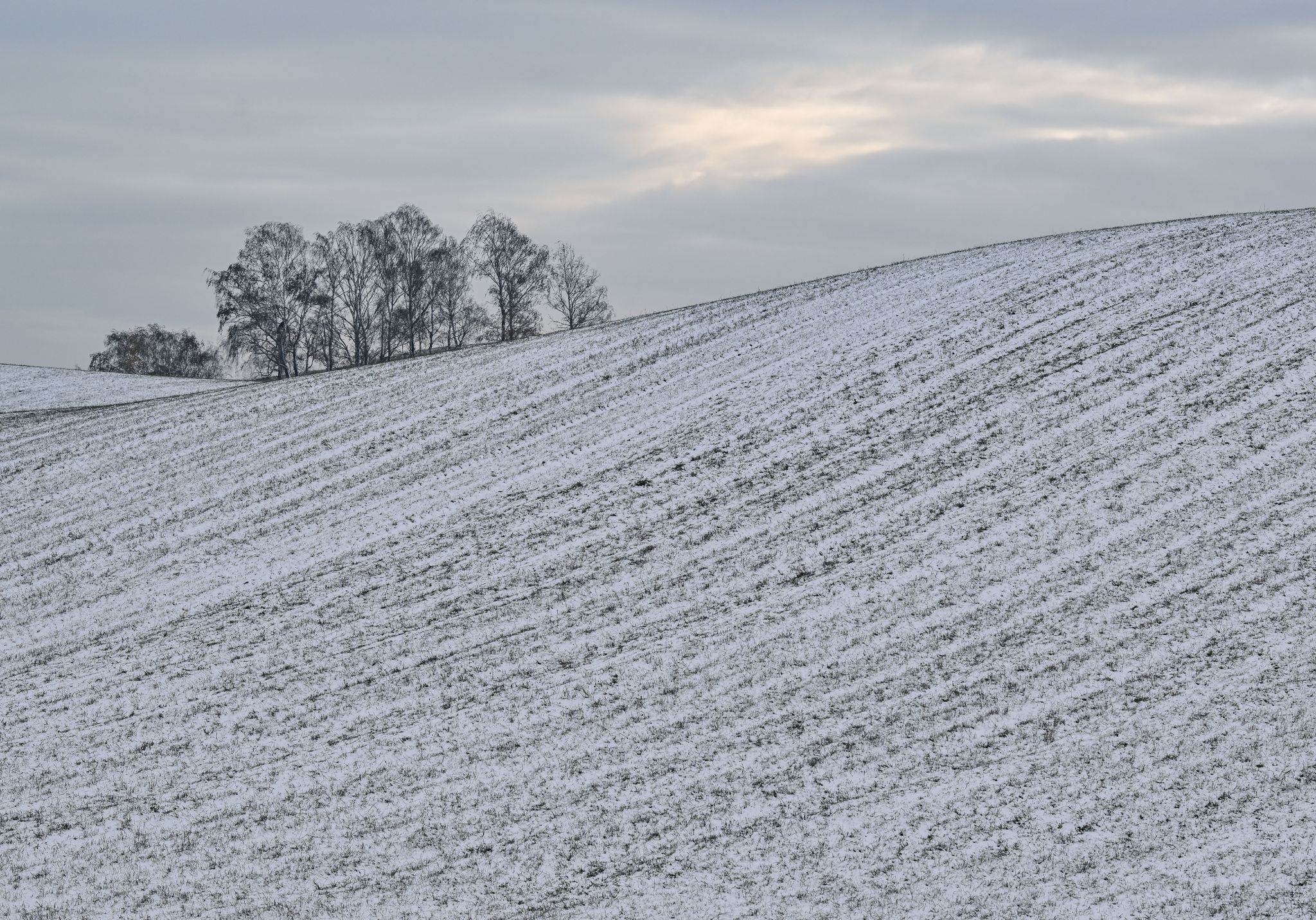 Ein Hauch von Schnee – Deutschland probt den Winter