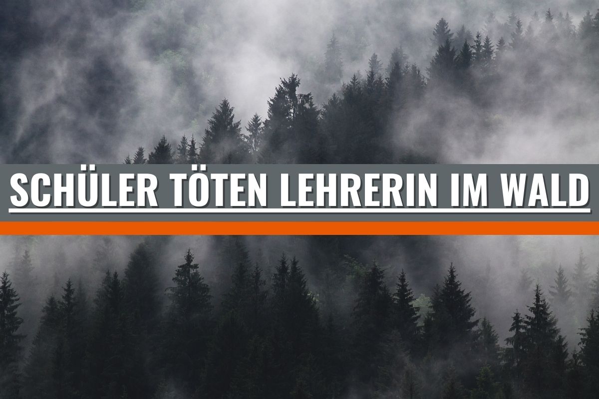 Zwei Schüler (16) erschlagen Lehrerin mit Baseballschläger im Wald