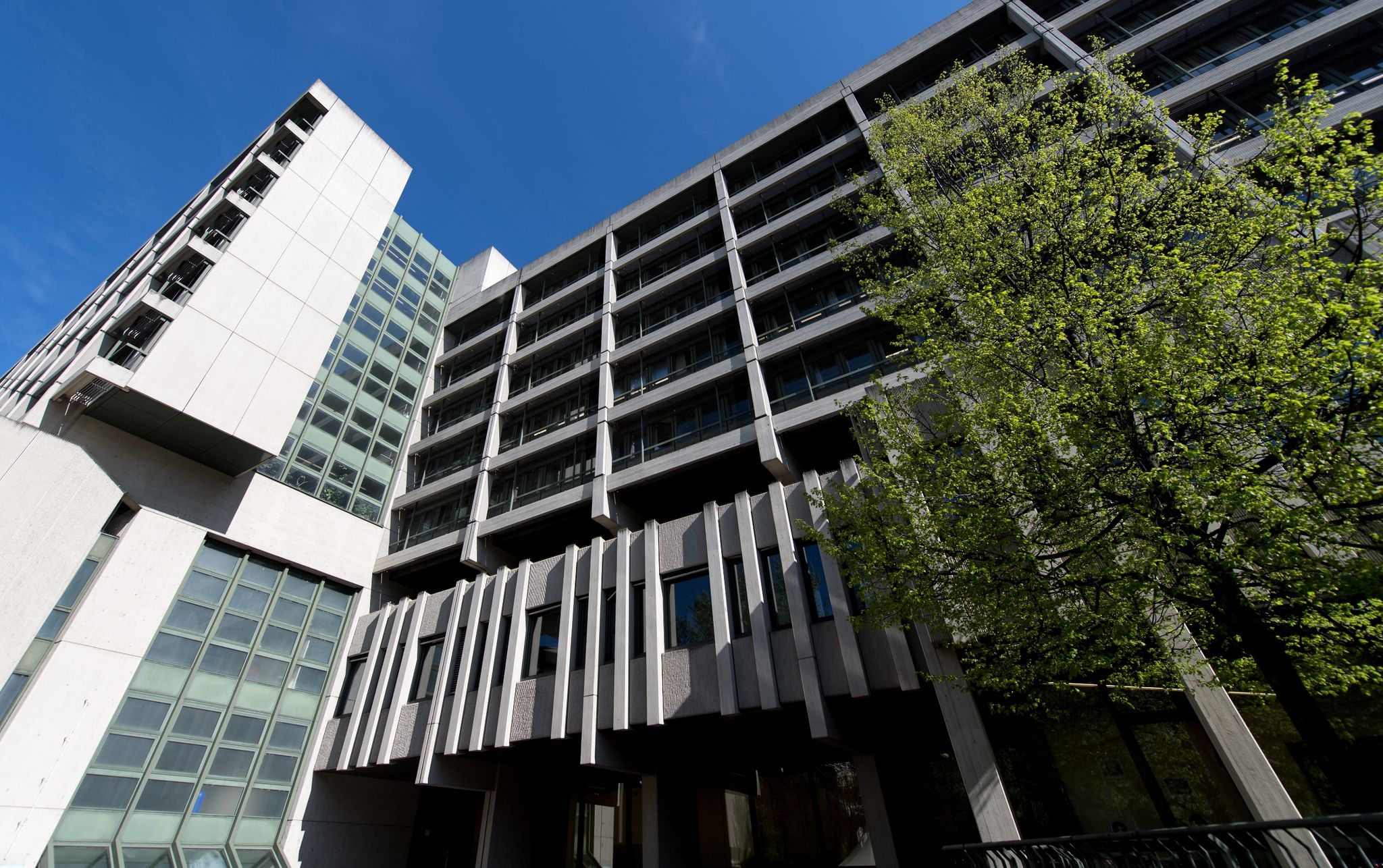 An Rubens-Bild geklebt: Strafbefehle gegen Klima-Aktivisten