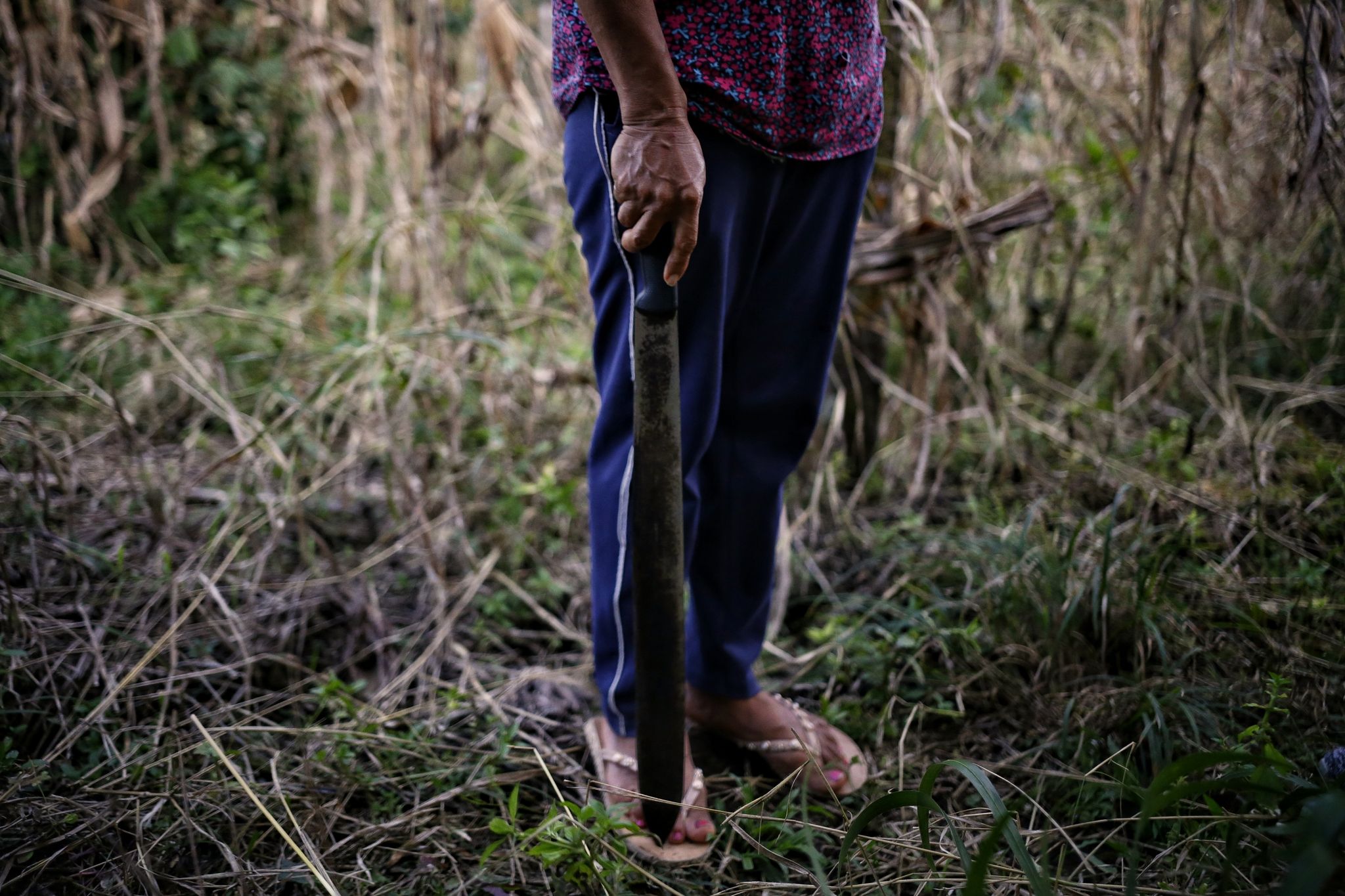Was Europas Kokain-Rausch für die Bauern bedeutet