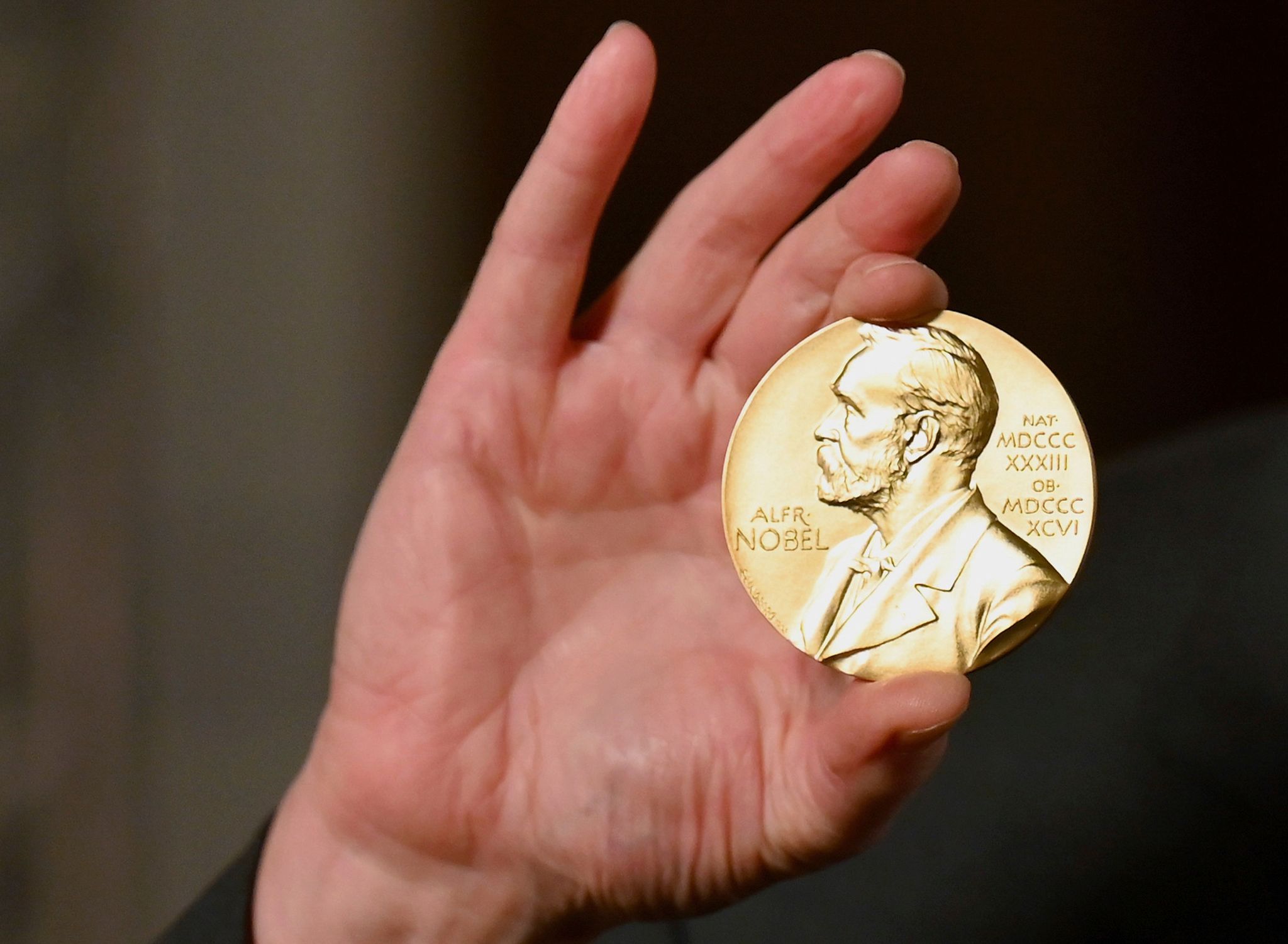 Menschenrechtler mit Friedensnobelpreis geehrt