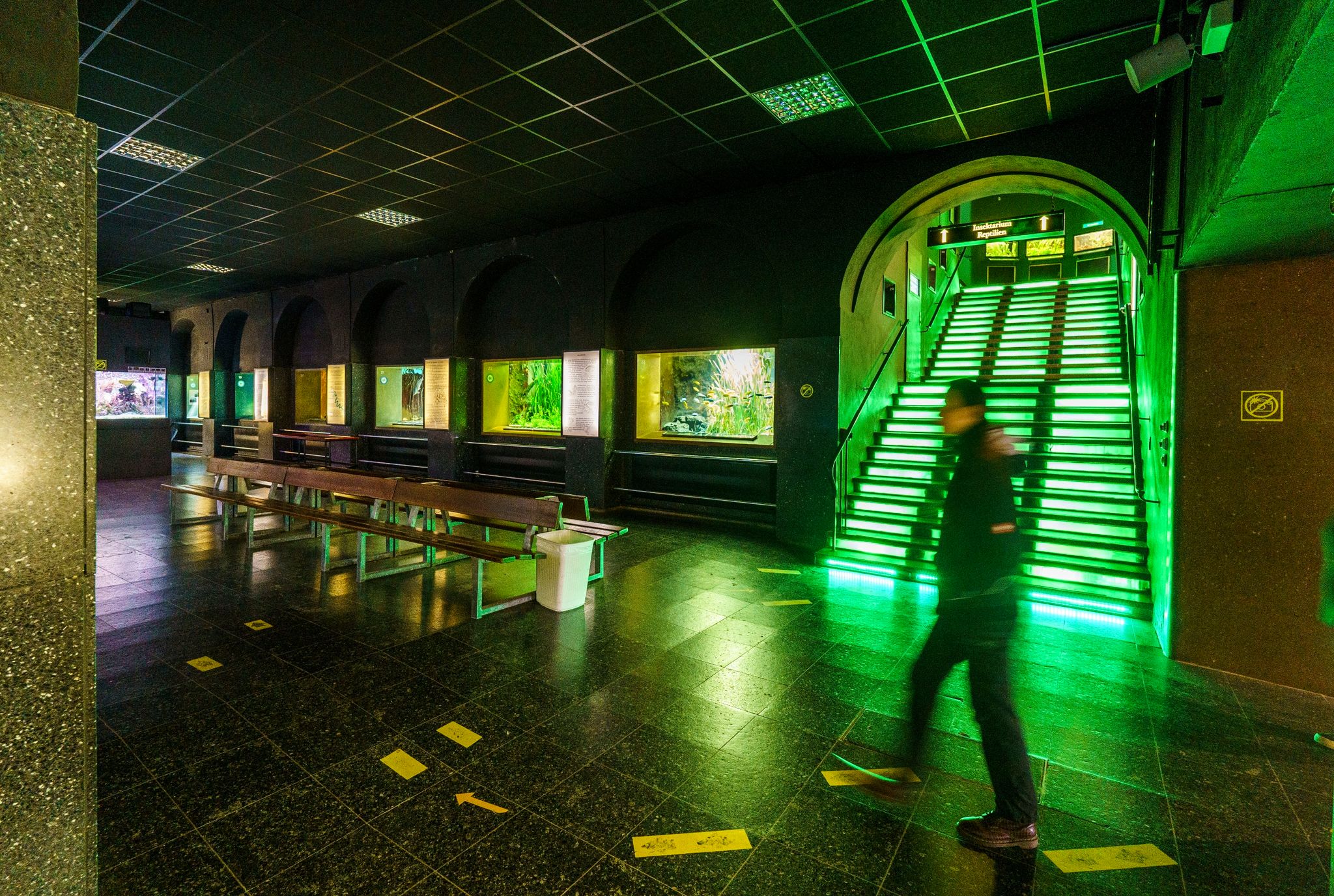 Viele Zootiere mögen’s heiß