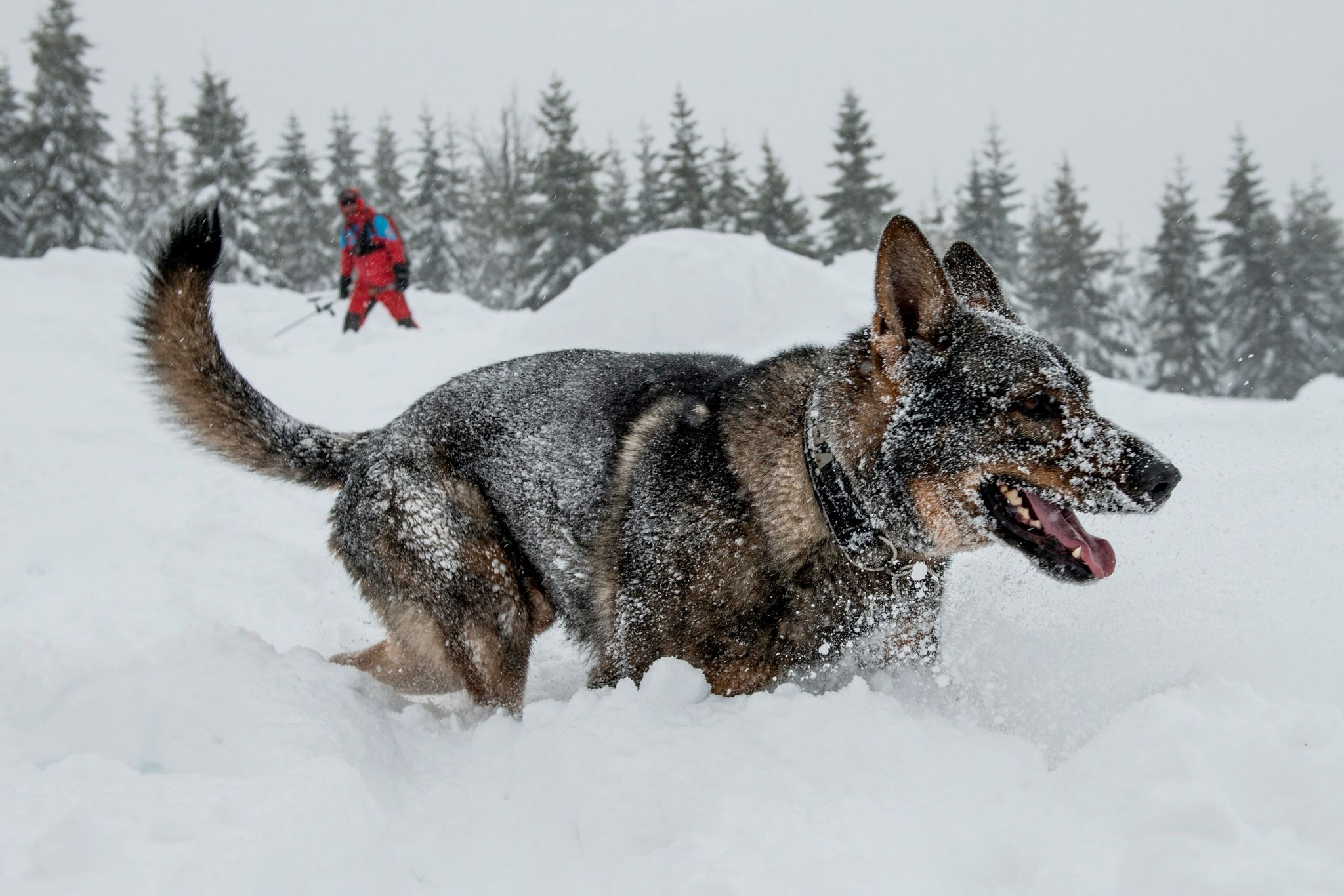 Lawinenunglück in Österreich