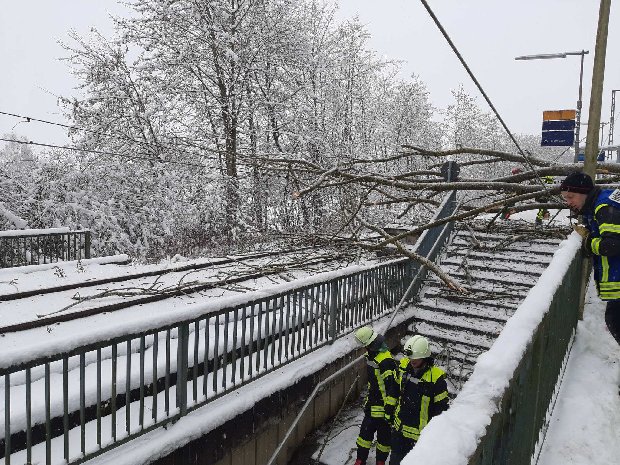 Umgestürzter Baum löst Stromschlag aus – zwei Verletzte