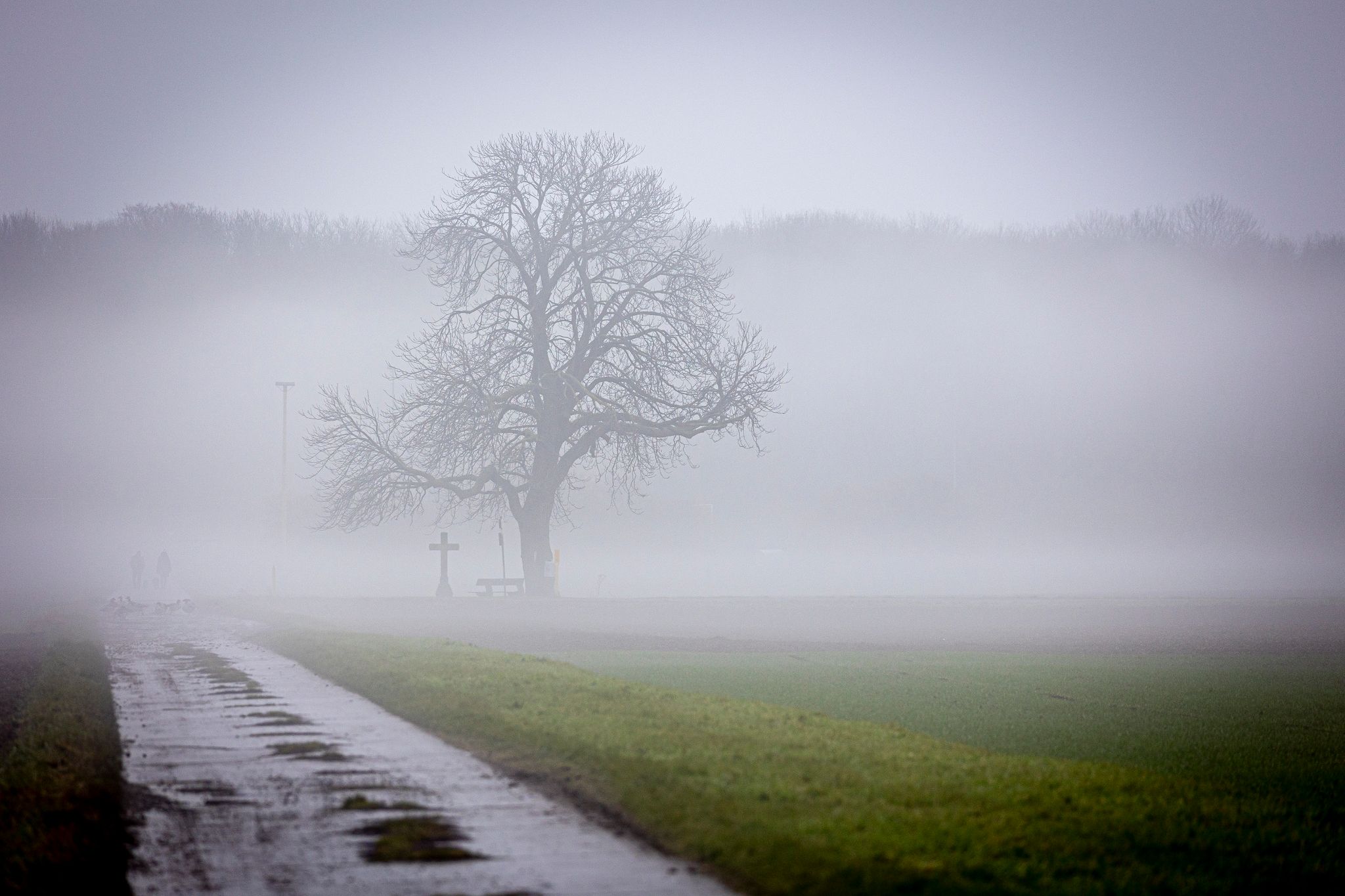 Grüne statt weiße Weihnachten – Starker Regen im Süden