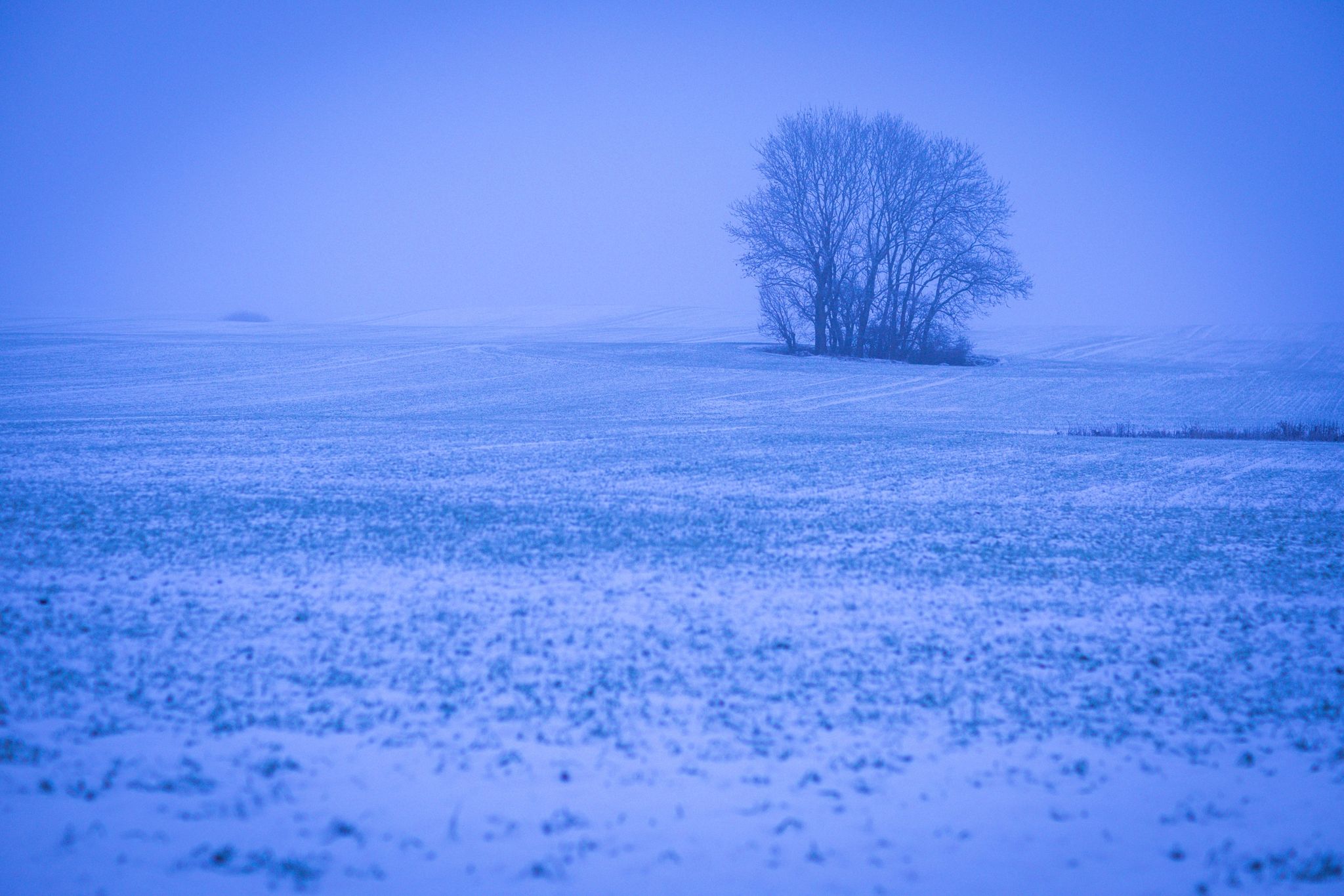 Deutschland zeigt sich verschneit und auffallend kalt
