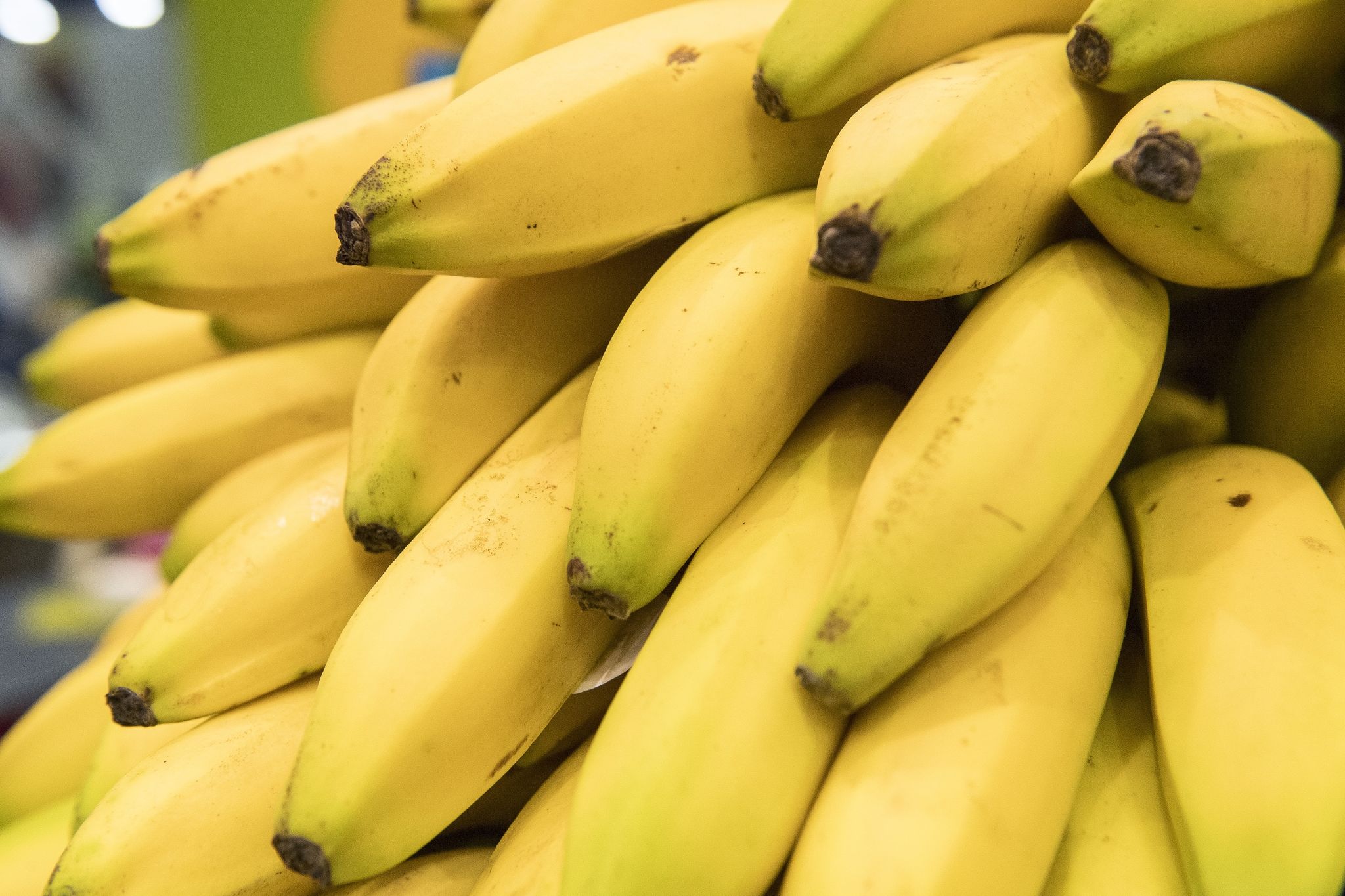 Tafel-Mitarbeiter finden 14 Kilo Kokain in Bananenkisten