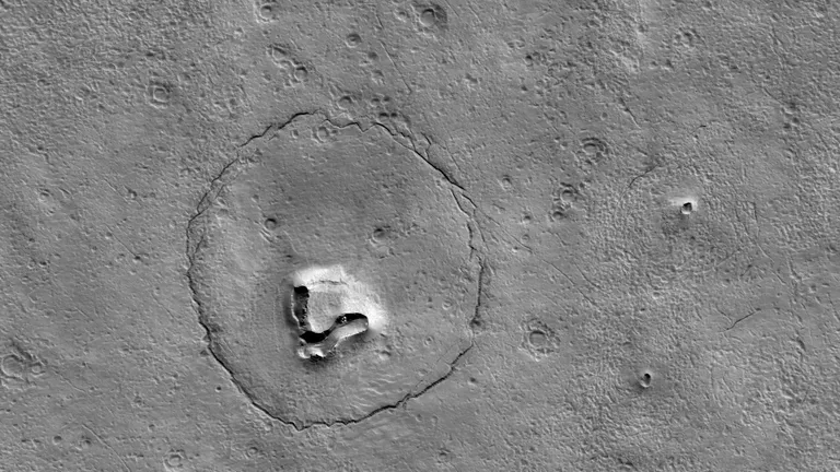 Sonde macht Bärenbild vom Mars