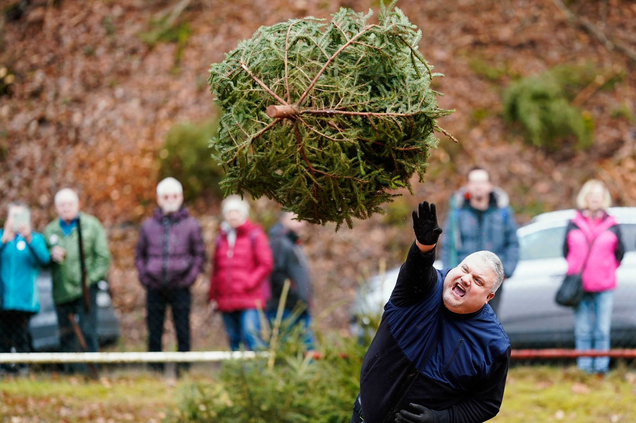 Fliegende Fichten: Weltmeisterschaft im Weihnachtsbaumwerfen