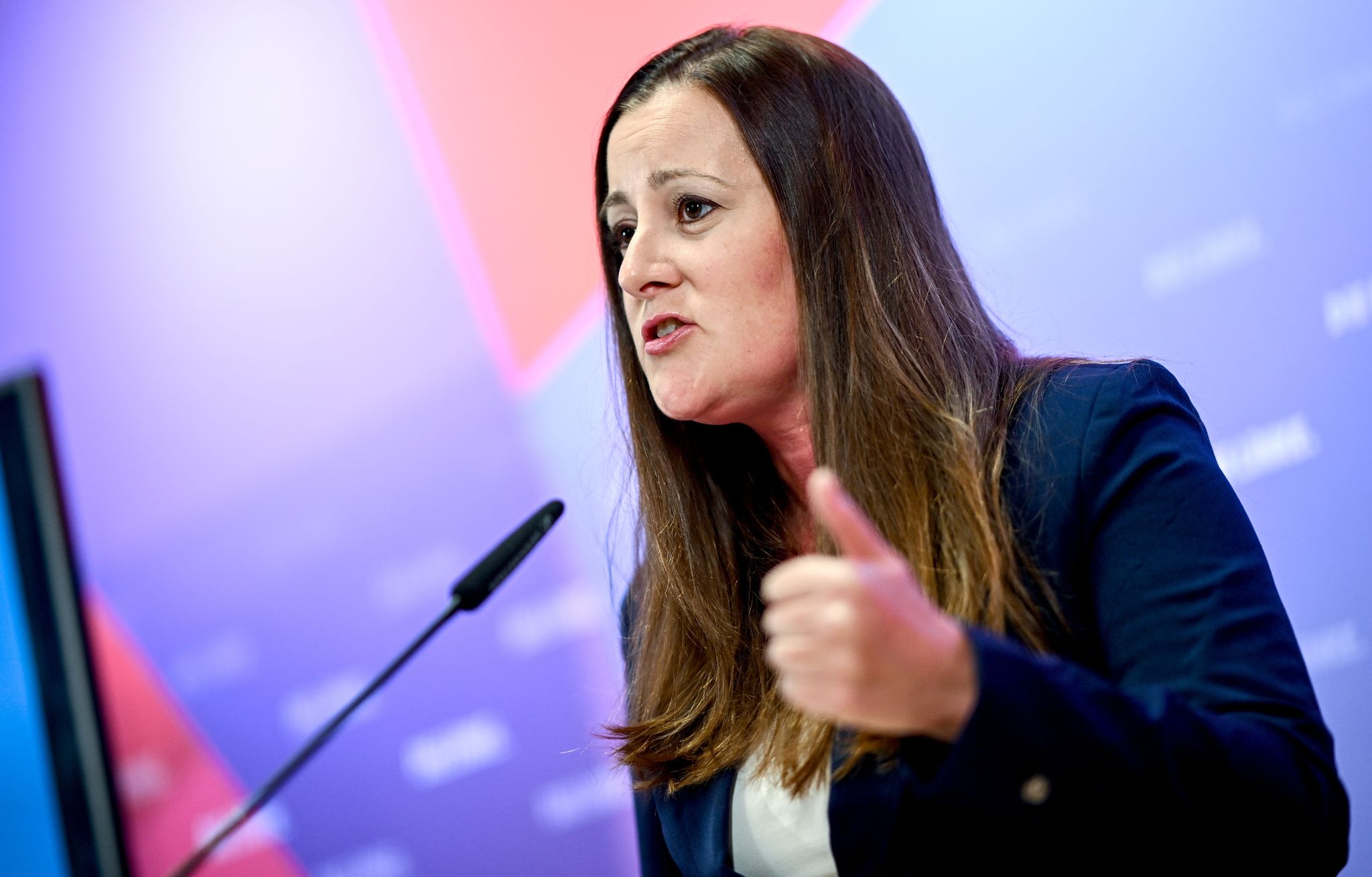 Linke will 120 Milliarden Euro pro Jahr für Wirtschafsumbau