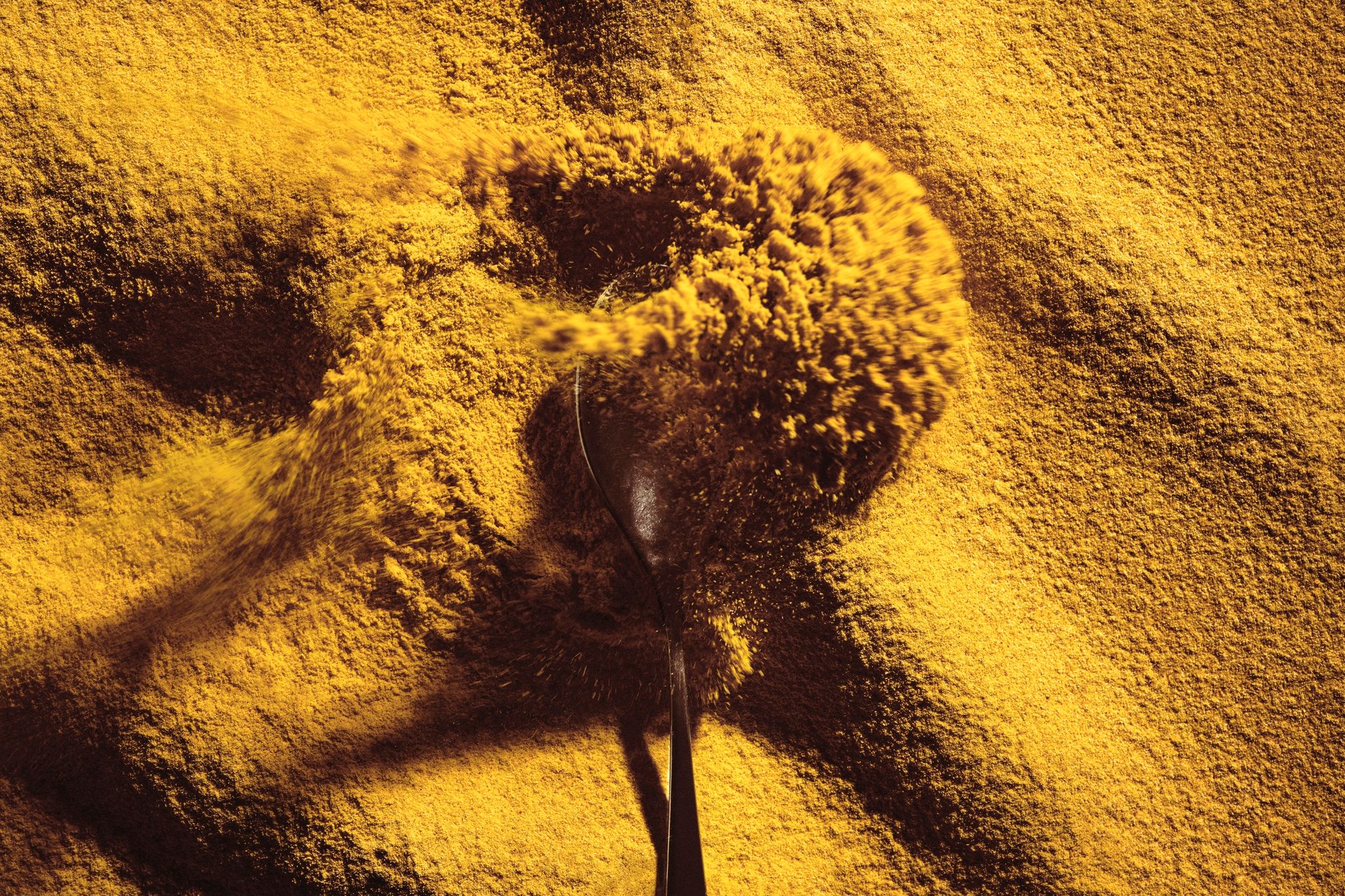 Essen aus Luft und Sonne: Proteinpulver als Problemlöser?