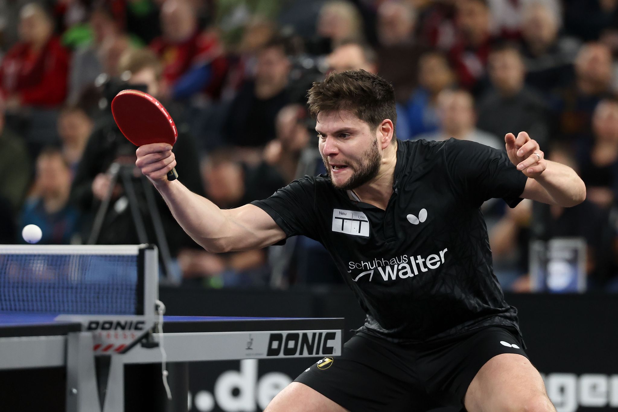 Großer Tischtennis-Streit: Liga-Rückzug oder Star-Abschied?