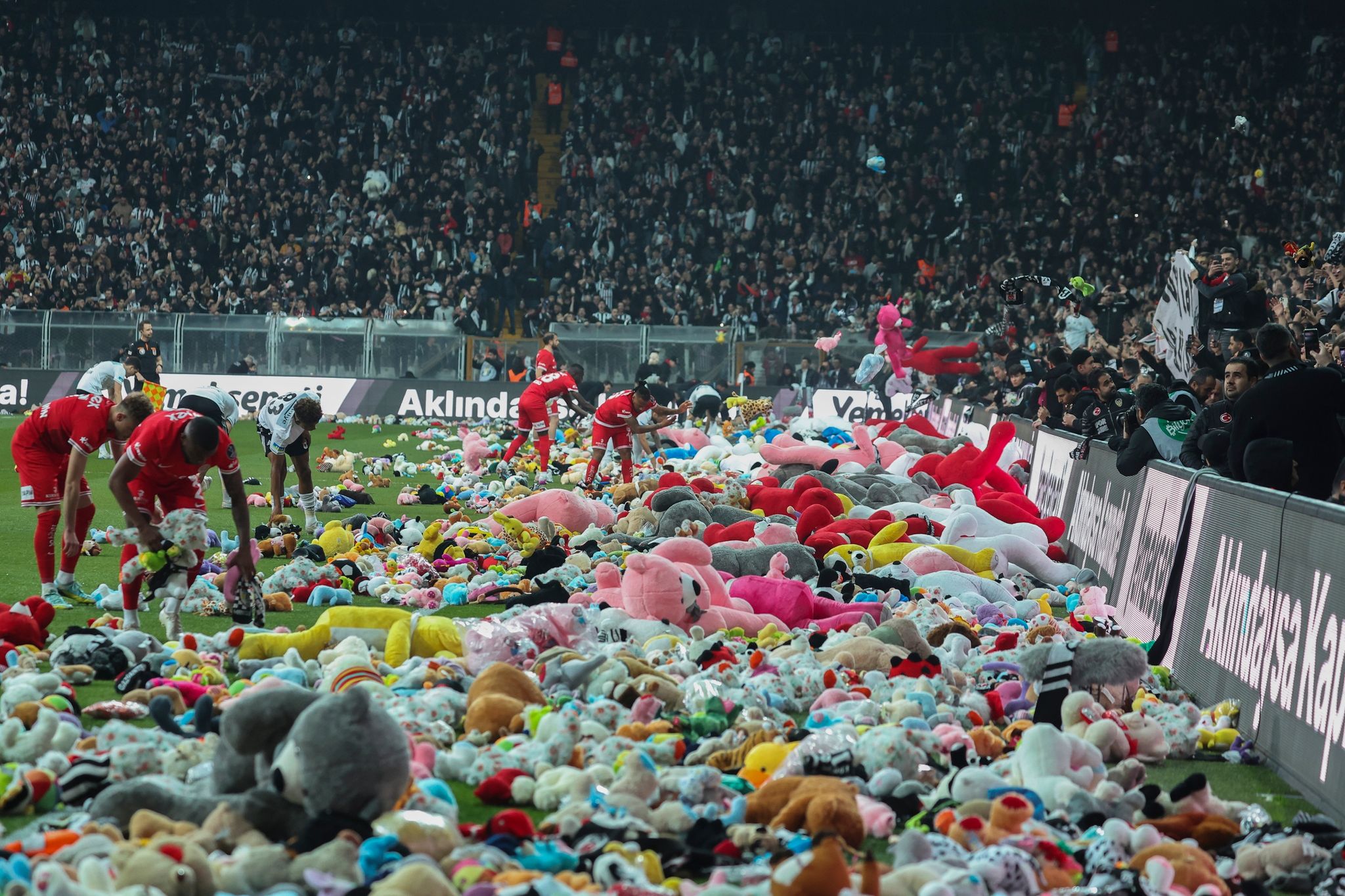 Bilder des Tages