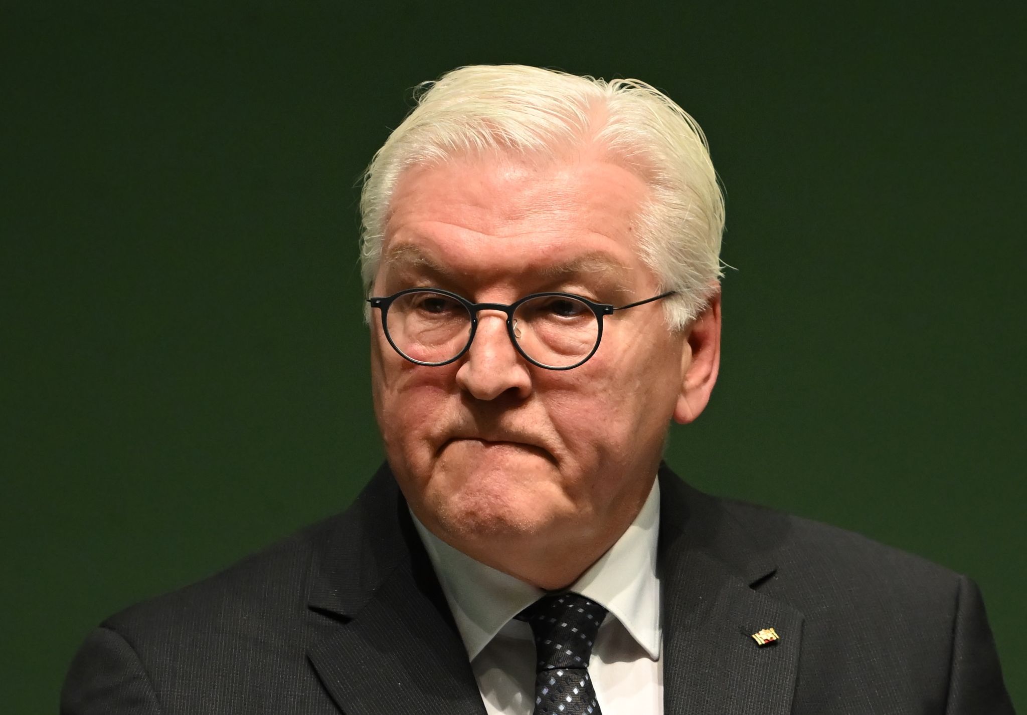 Steinmeier: Müssen deutsche Demokratie wehrhaft machen
