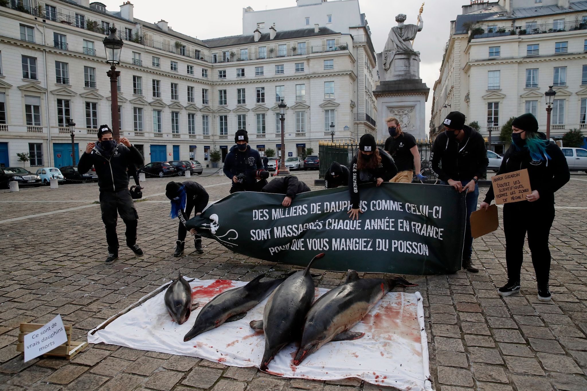 Tierschützer in Frankreich: Proteste gegen Delfin-Sterben