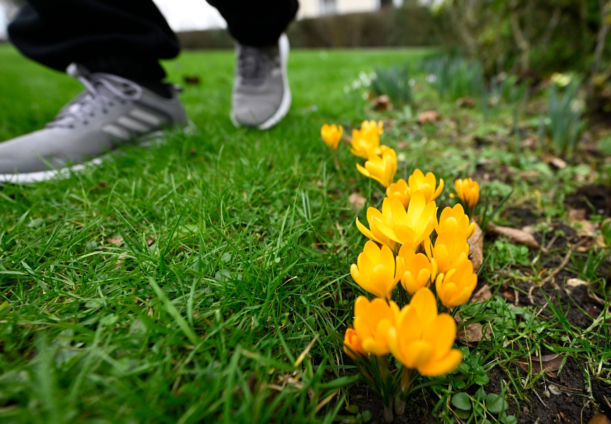 Mildes Wetter erwartet – in einigen Gebieten viel Sonne