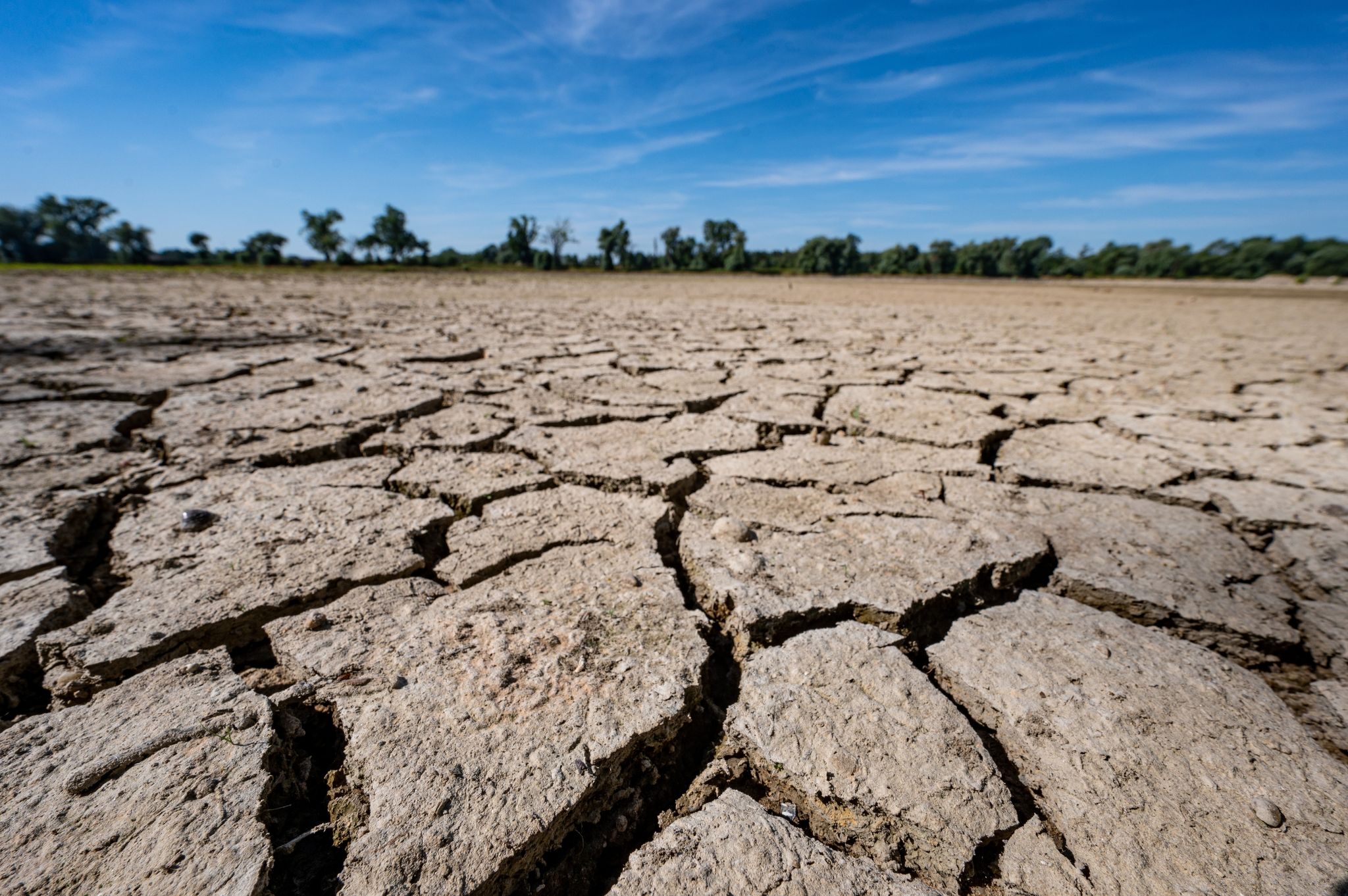 Erstmals Klimaklage vor Menschengerichtshof