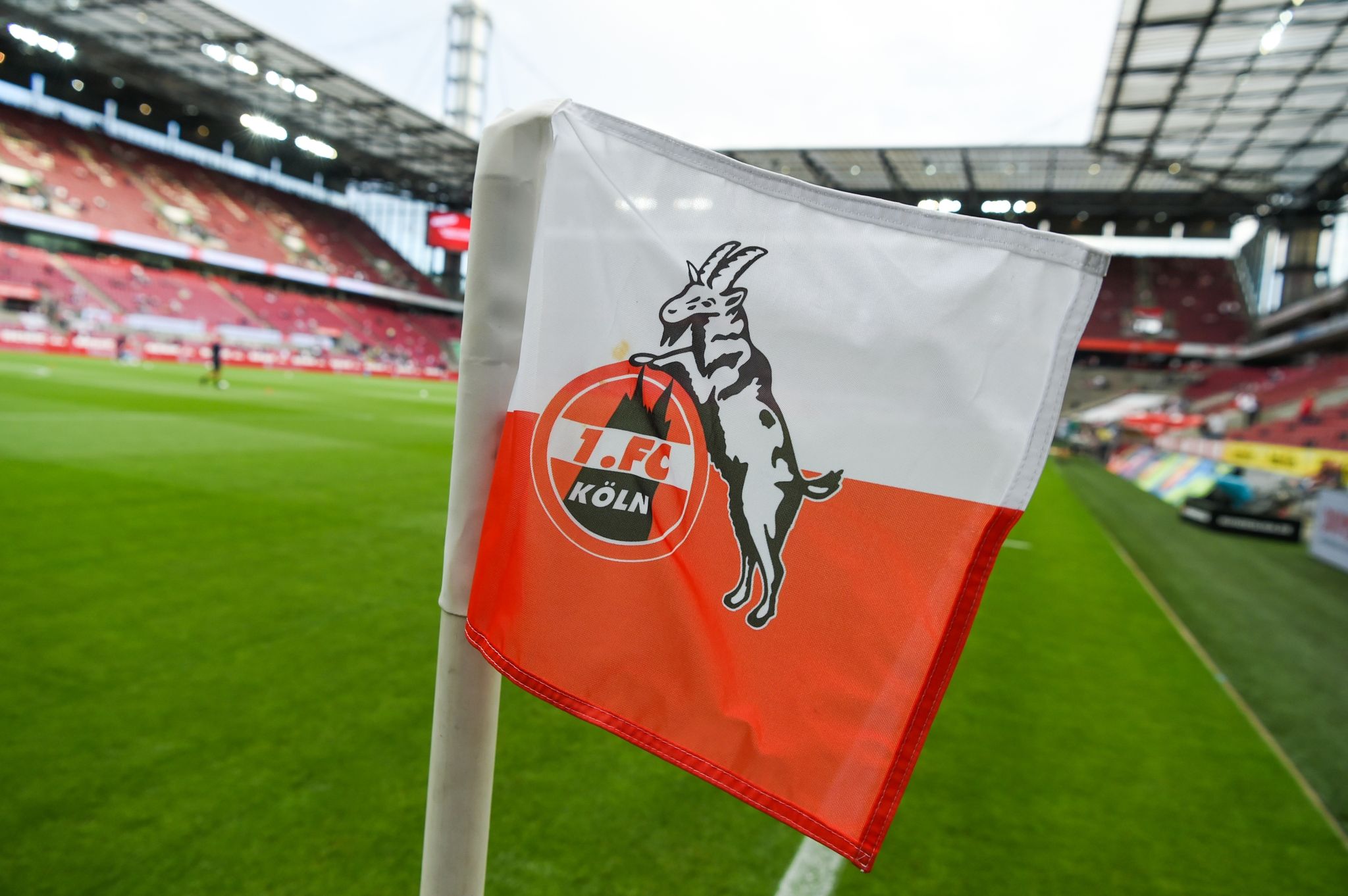 Nach Transfersperre: 1. FC Köln legt Berufung bei CAS ein