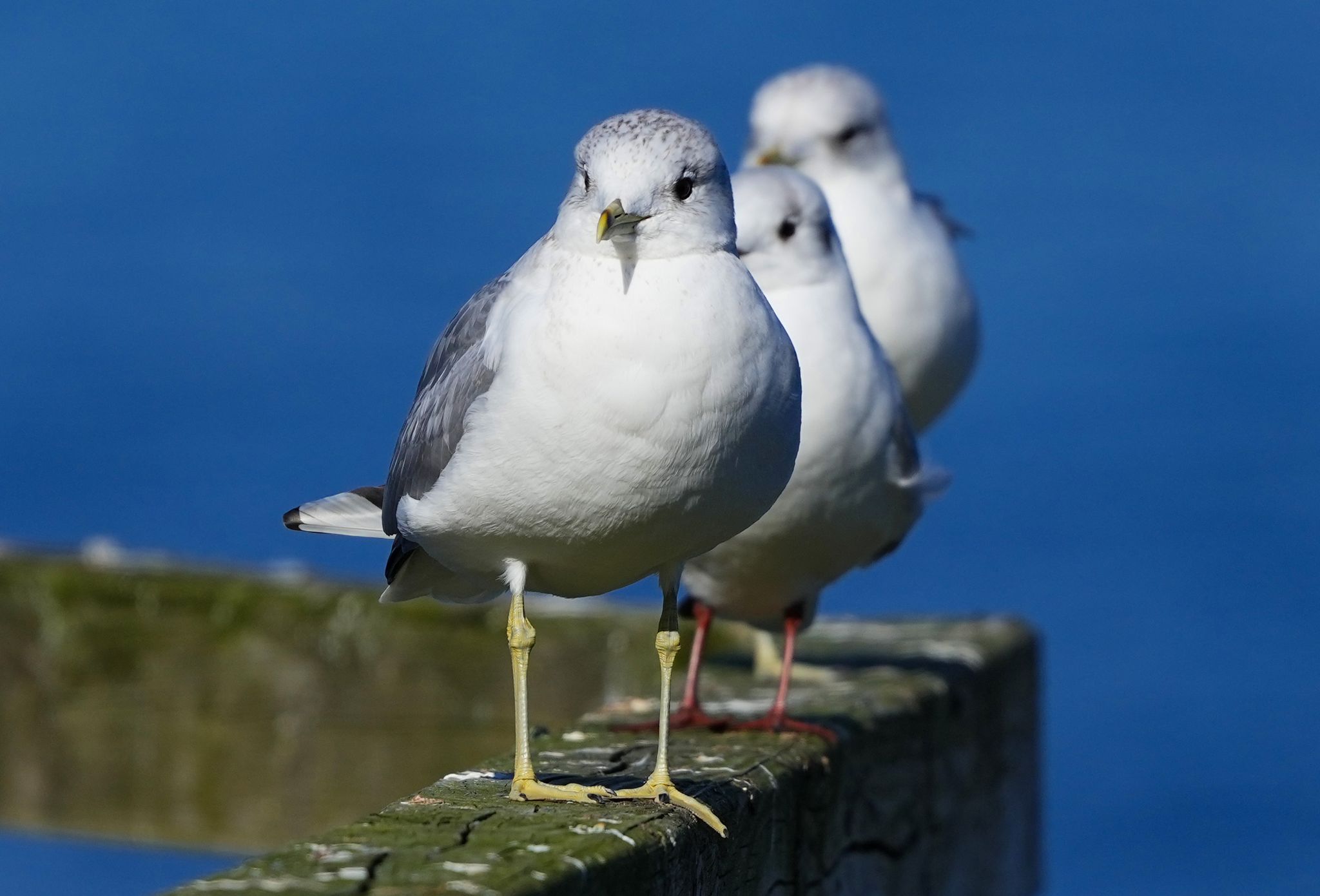 Das Ende der Woche wird unbeständig und teils winterlich