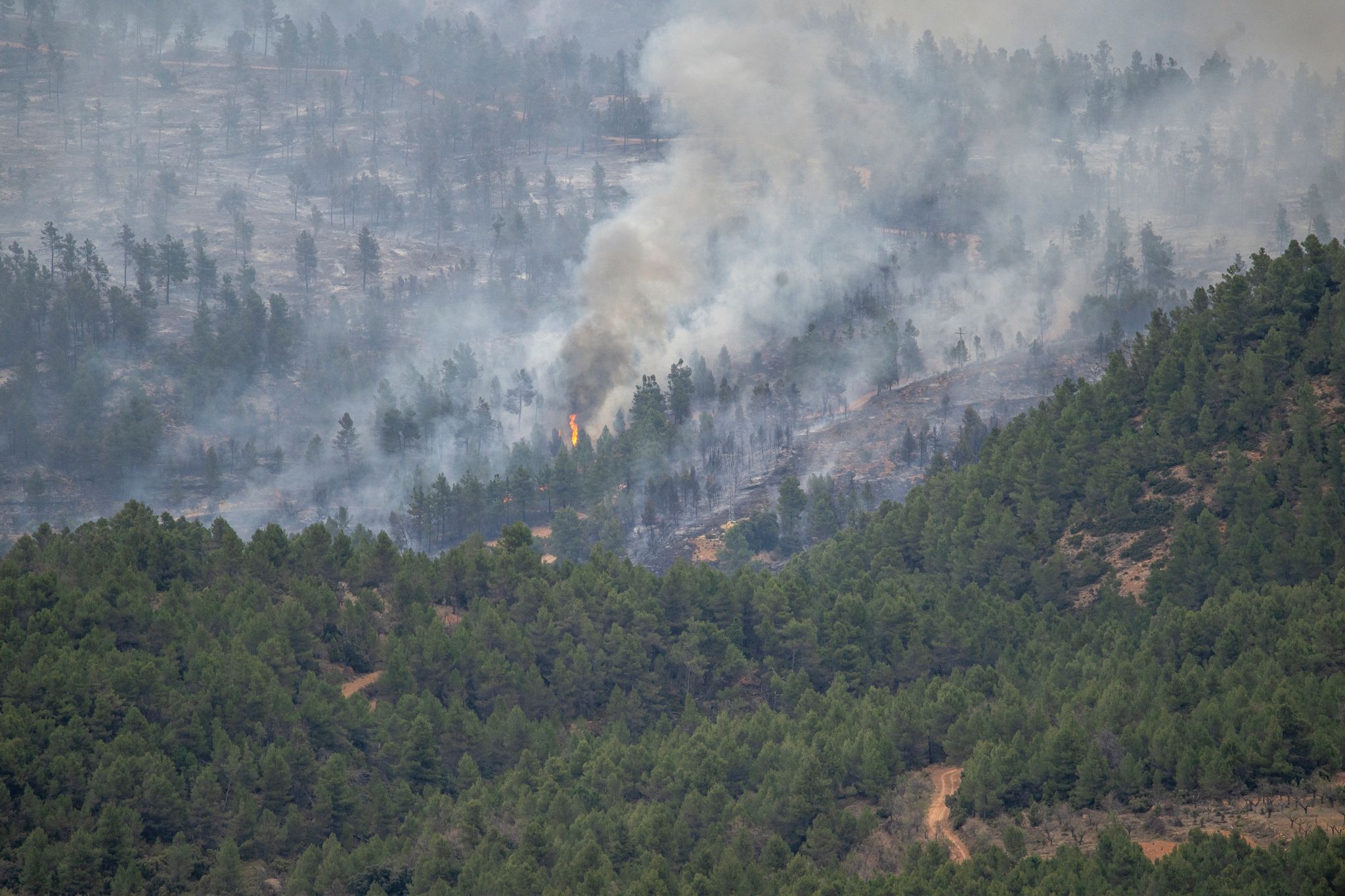 Groß-Waldbrand in Spanien zerstört über 4000 Hektar