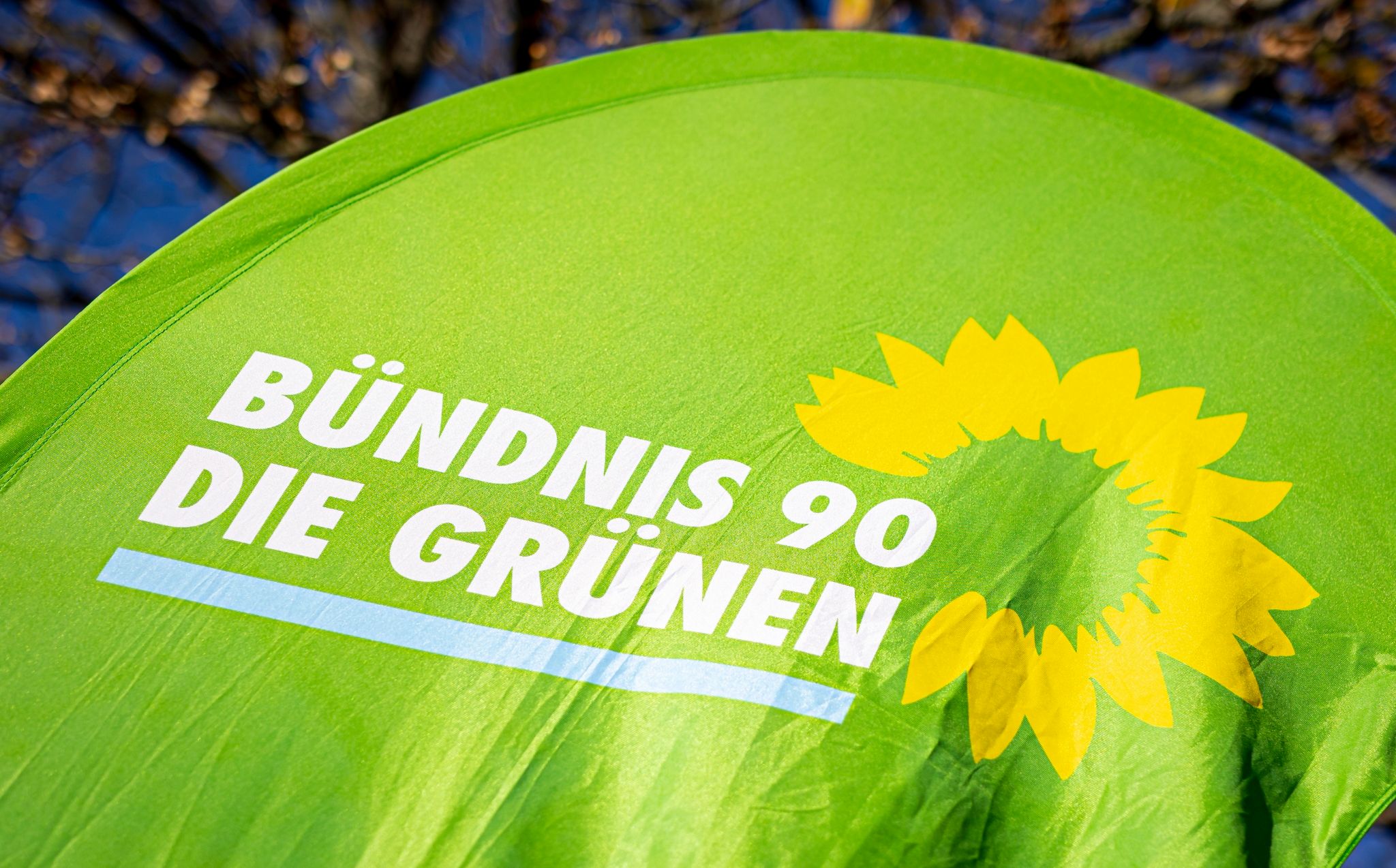 Gegen den Ampel-Trend: Grüne wachsen weiter