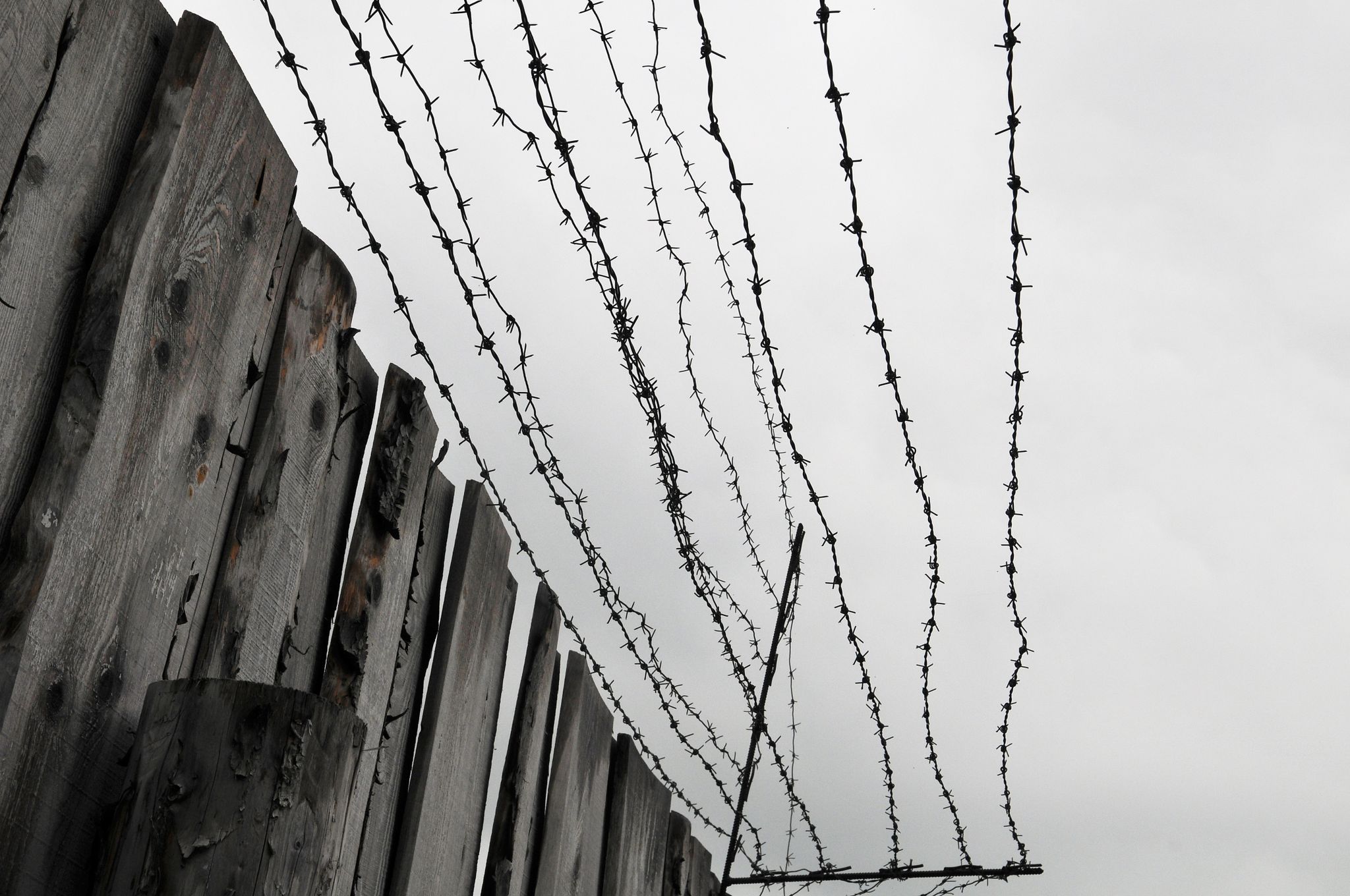 Tochter malte Antikriegsbild: Russe nach Flucht verhaftet