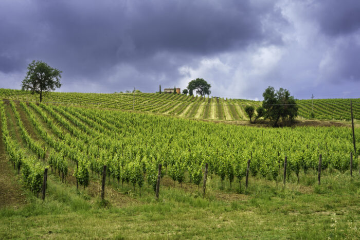 Ländliche Region in Italien Provinz Fermo